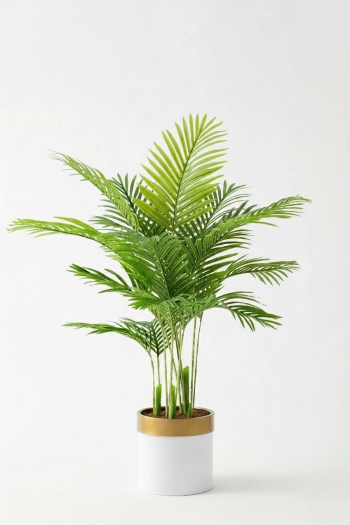 Dikey Dekor - yapay 3 govdeli areka palmiyesi 7092 3b573d62 e24f 4f04 9a3b 8edf136ce612 Toptan Yapay 3 Gövdeli Areka Palmiyesi-Krem / 160 CM - Görsel 2