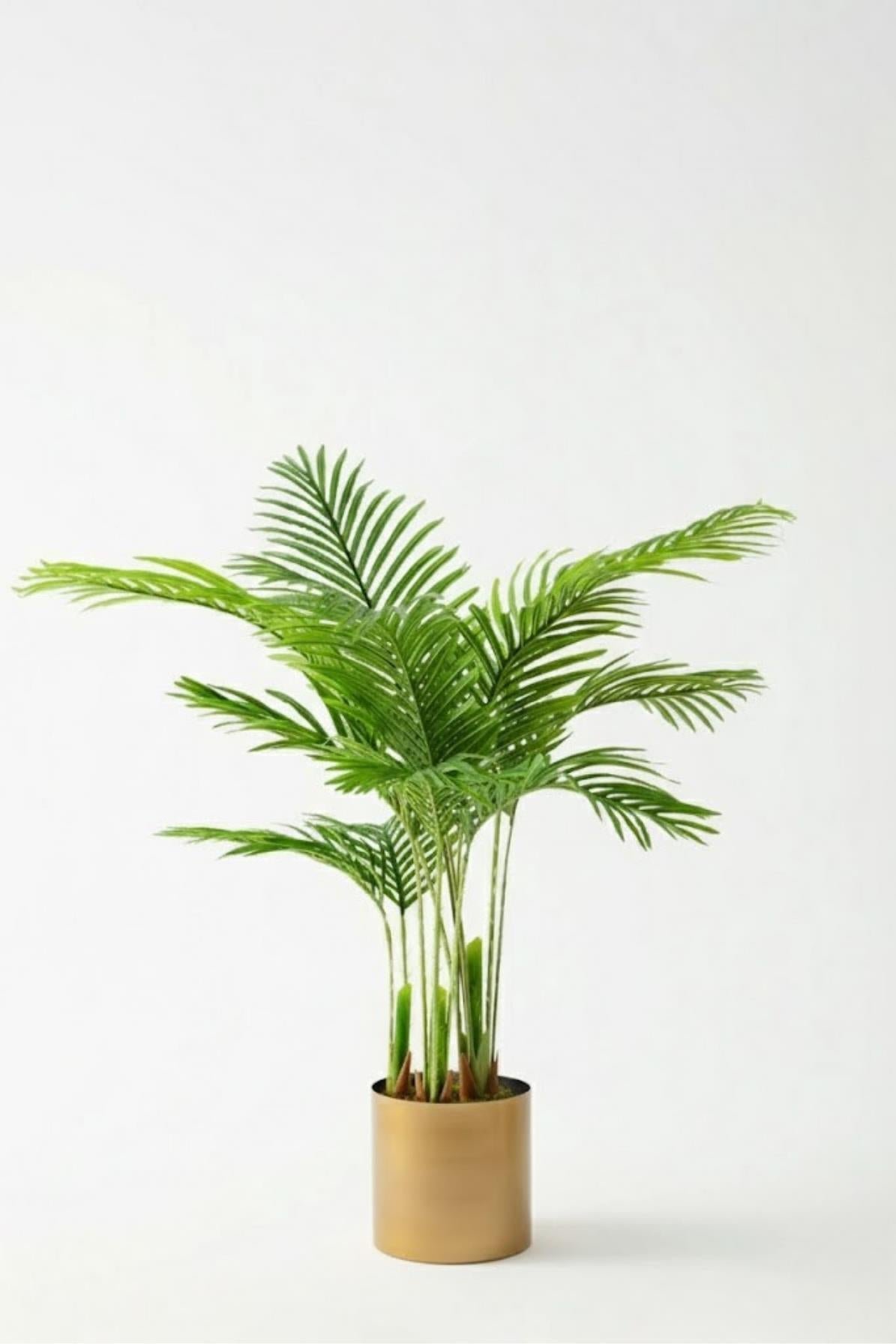 Dikey Dekor - yapay 3 govdeli areka palmiyesi 7093 76ccd8f0 d0f0 48dd a035 b81e8dd4433b Toptan Yapay 3 Gövdeli Areka Palmiyesi-Krem / 160 CM - Görsel 3