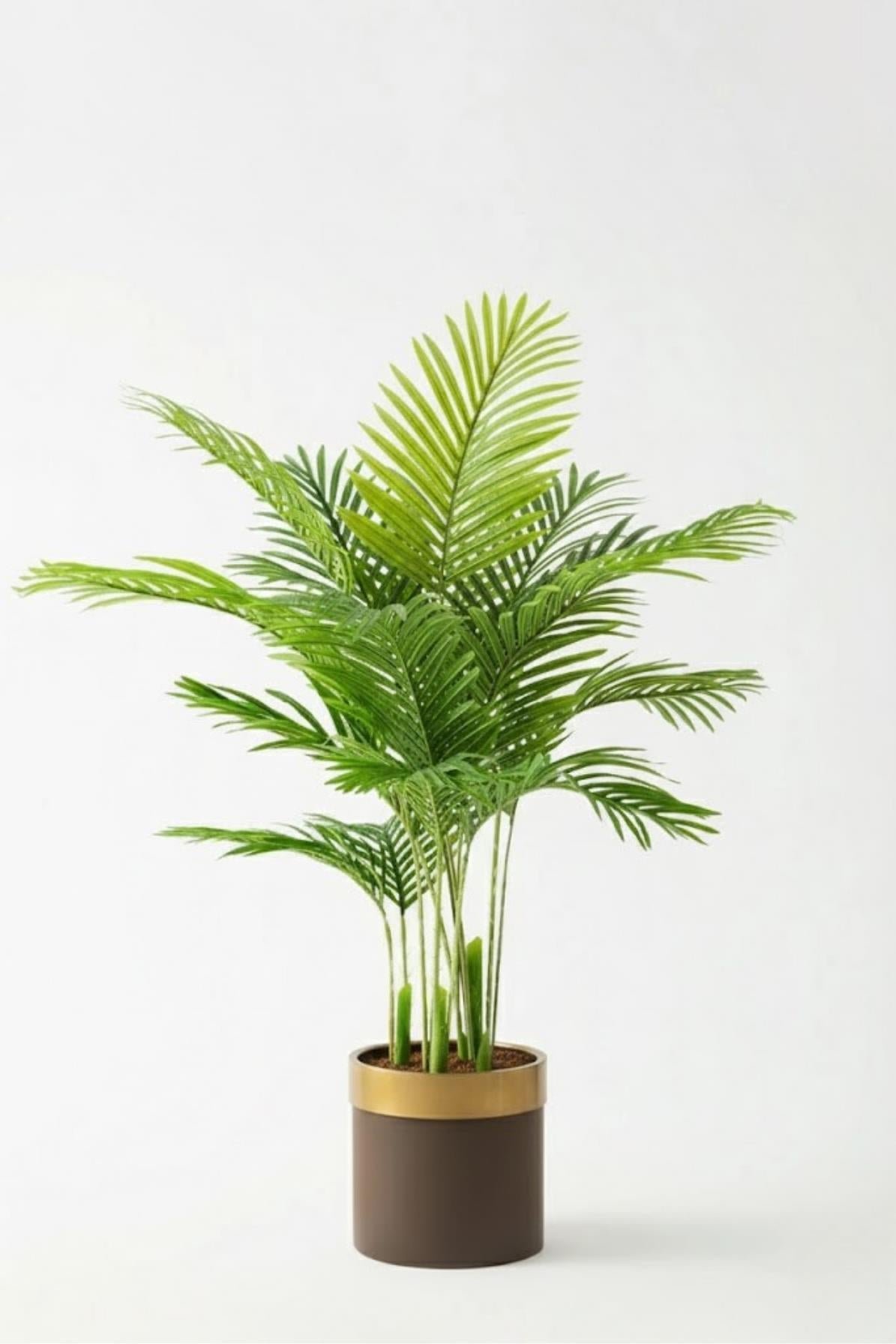 Dikey Dekor - yapay 3 govdeli areka palmiyesi 7094 Toptan Yapay 3 Gövdeli Areka Palmiyesi-Krem / 160 CM - Görsel 4