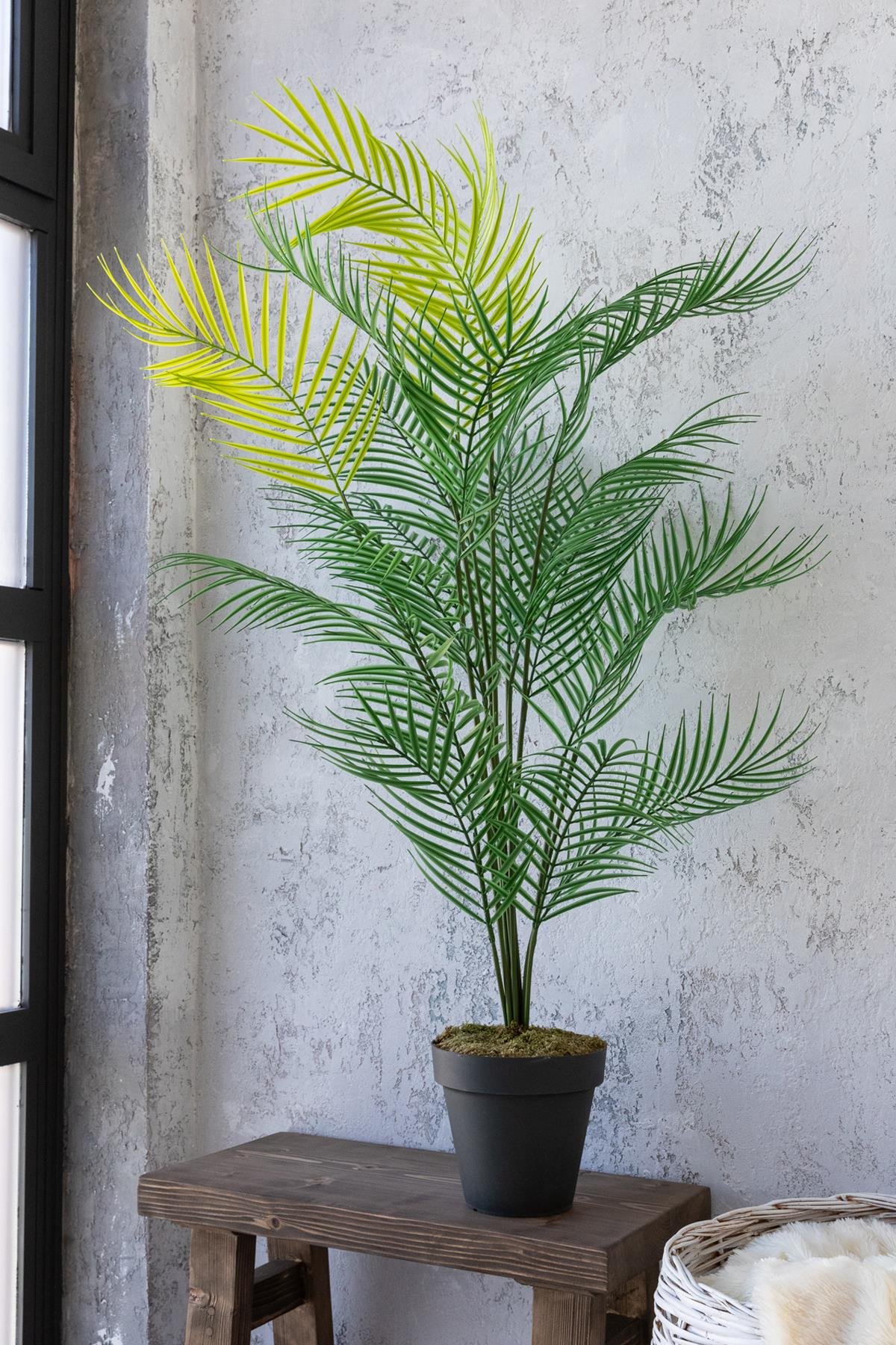 Dikey Dekor - yapay agac areka agaci palmiye agaci salon bitkisi yapay areka 130 cm 20 yaprak 2292 Toptan Yapay Ağaç Areka Ağacı Palmiye Ağacı Salon Bitkisi Yapay Areka 130 Cm 20 Yaprak - Görsel 2