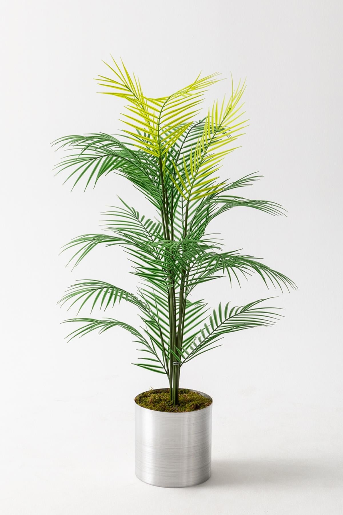 Dikey Dekor - yapay areka palmiyesi 130 cm 2785 Toptan Yapay Areka Palmiyesi 130 Cm - Görsel 3