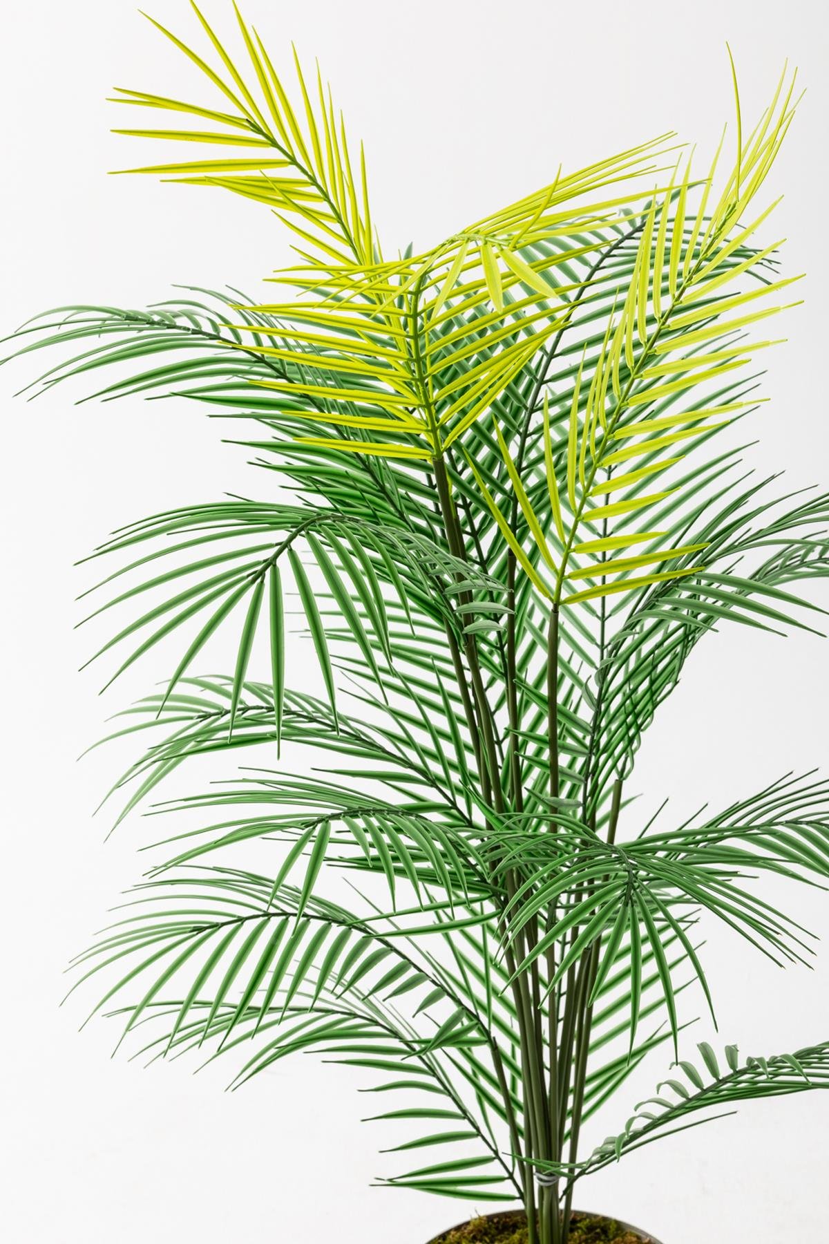 Dikey Dekor - yapay areka palmiyesi 130 cm 2786 Toptan Yapay Areka Palmiyesi 130 Cm - Görsel 4