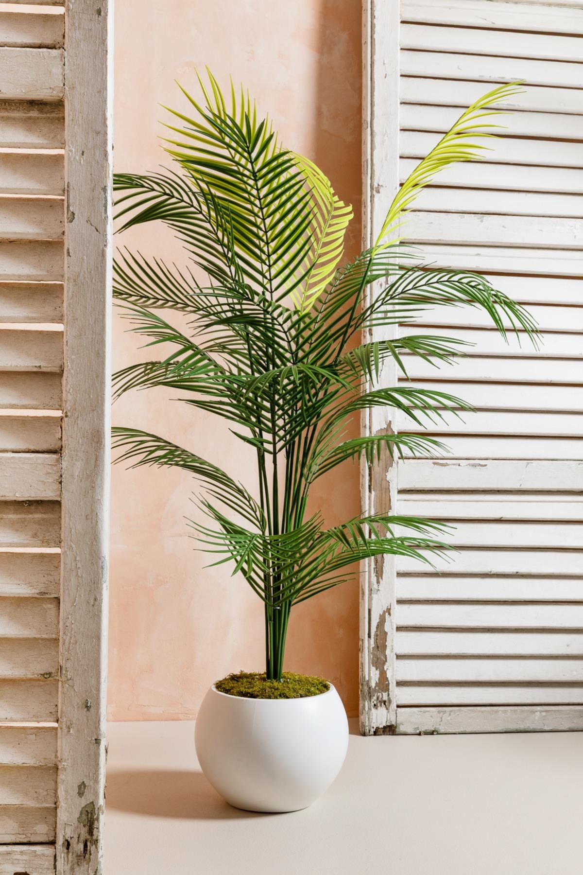 Dikey Dekor - yapay areka palmiyesi 130 cm kure plastik saksi 5100 Toptan Yapay Areka Palmiyesi 130 Cm Küre Plastik Saksı - Görsel 2