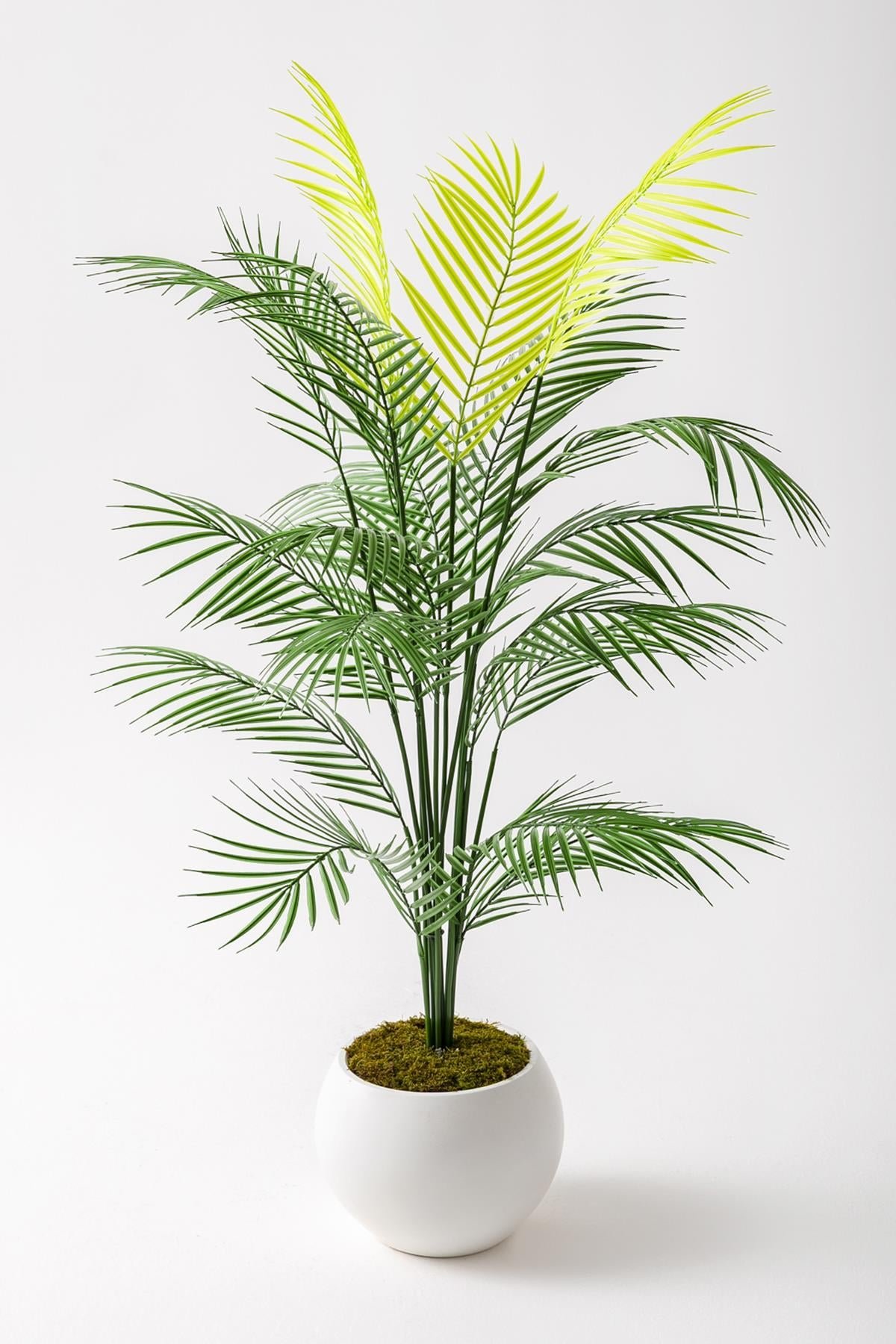 Dikey Dekor - yapay areka palmiyesi 130 cm kure plastik saksi 5101 Toptan Yapay Areka Palmiyesi 130 Cm Küre Plastik Saksı - Görsel 3