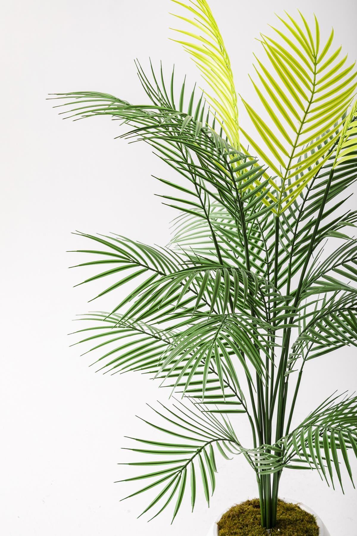 Dikey Dekor - yapay areka palmiyesi 130 cm kure plastik saksi 5102 Toptan Yapay Areka Palmiyesi 130 Cm Küre Plastik Saksı - Görsel 4