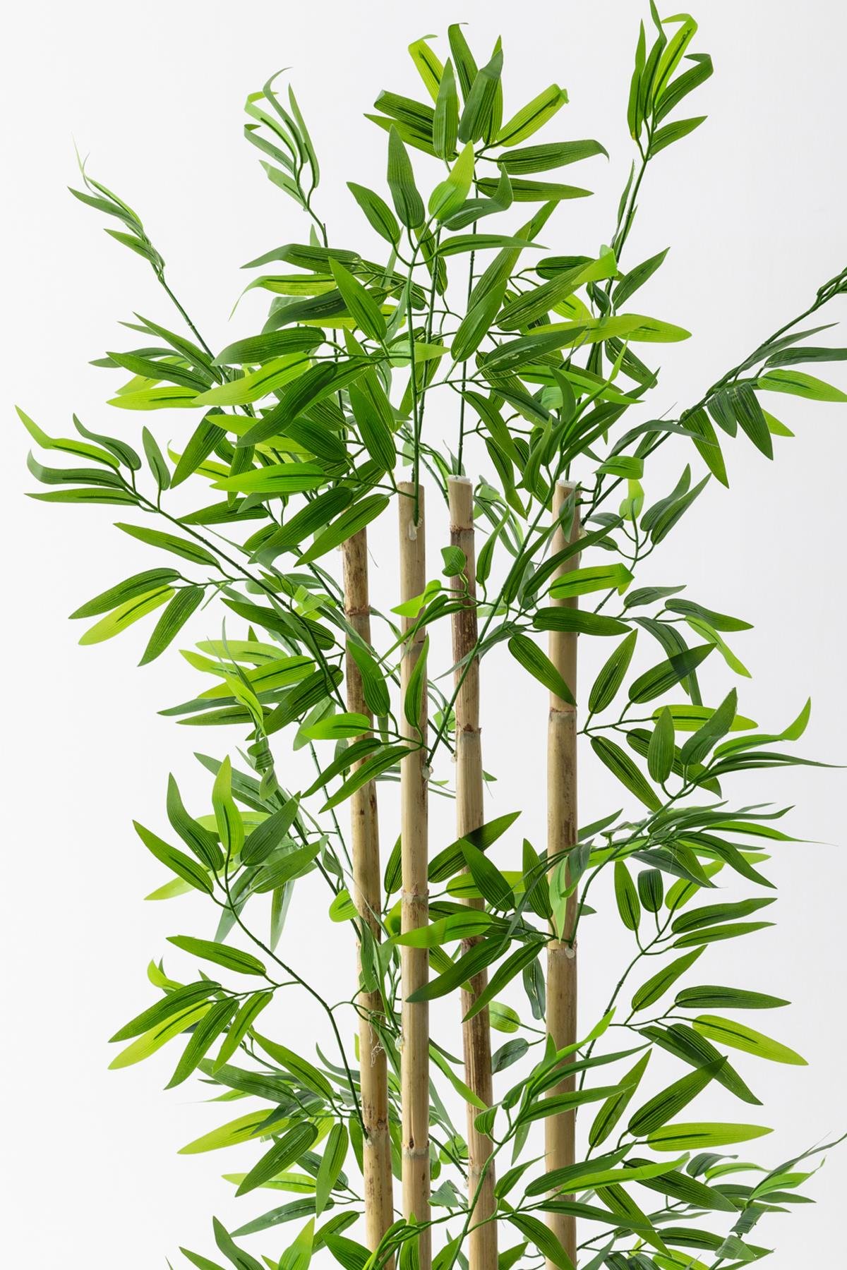 Dikey Dekor - yapay bambu agaci 180 cm 2412 Toptan Yapay Bambu Ağacı 180 cm - Görsel 3