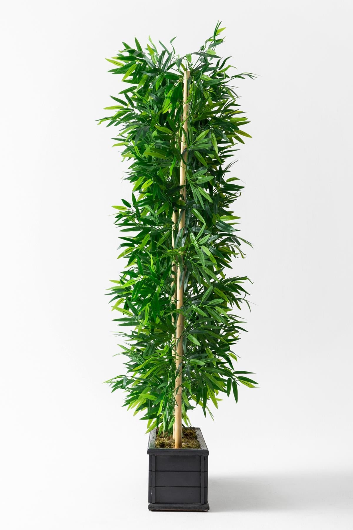 Dikey Dekor - yapay bambu seperator ahsap antrasit saksi 175 cm 2427 d9ce2109 a133 4293 9413 83db0b359ca3 Toptan Yapay Bambu Seperatör Ahşap Antrasit Saksı 175 Cm - Görsel 3