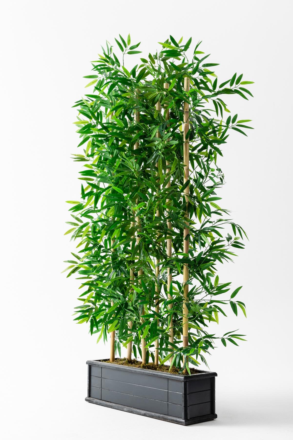 Dikey Dekor - yapay bambu seperator ahsap antrasit saksi 175 cm 2428 cf34fd30 219e 49e6 9f7f 9c0519191ca2 Toptan Yapay Bambu Seperatör Ahşap Antrasit Saksı 175 Cm - Görsel 4