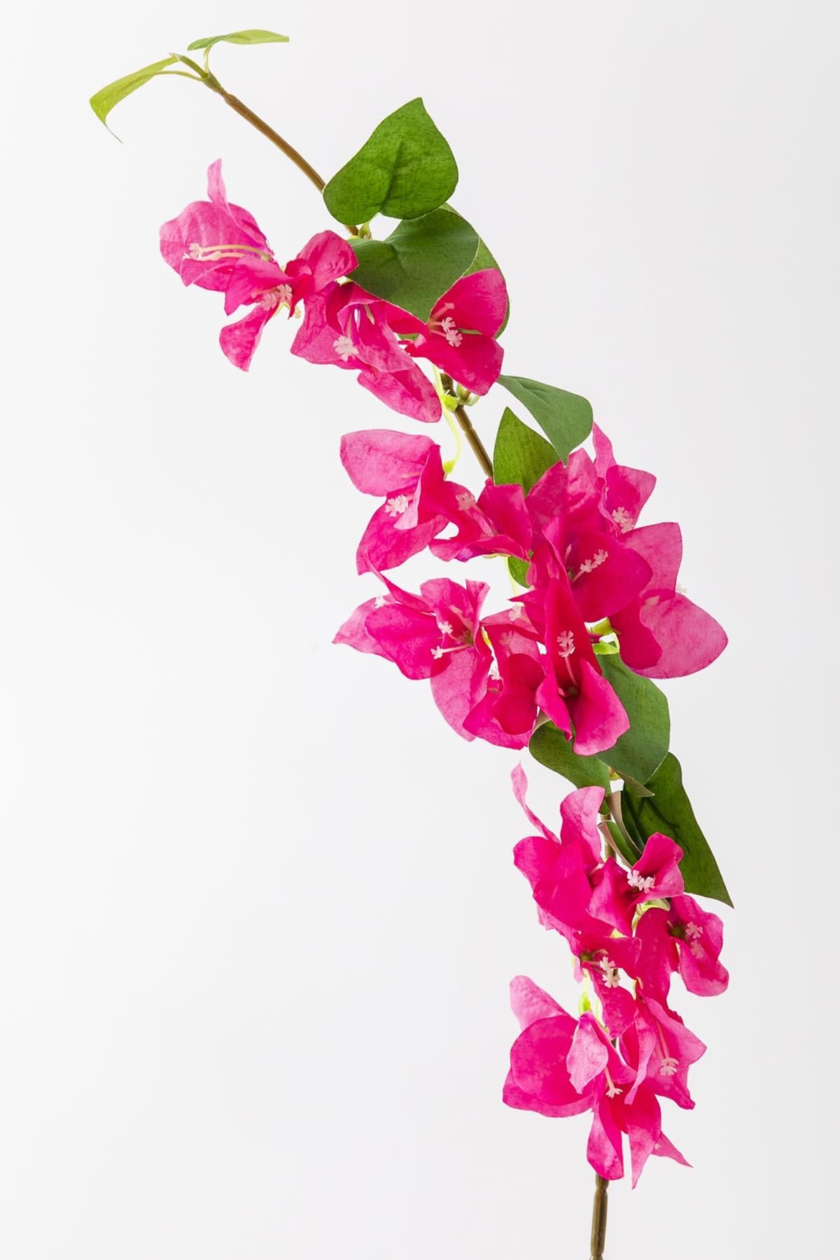 Dikey Dekor - yapay begonvil dali 80 cm fusya 4783 Toptan Yapay Begonvil Dalı 80 cm Fuşya - Görsel 3