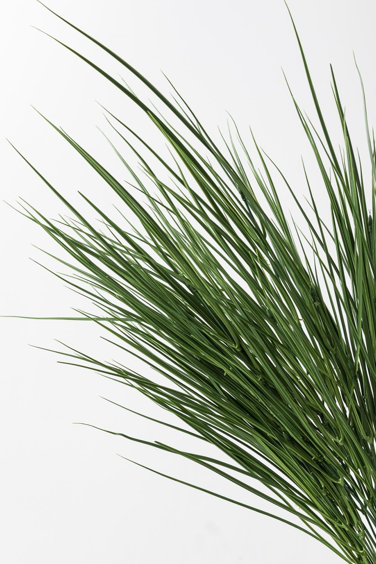 Dikey Dekor - yapay buyuk ince saz demeti yesil 70 cm 24 dal 4161 Toptan Yapay Büyük İnce Saz Demeti Yeşil 70 Cm 24 Dal - Görsel 4