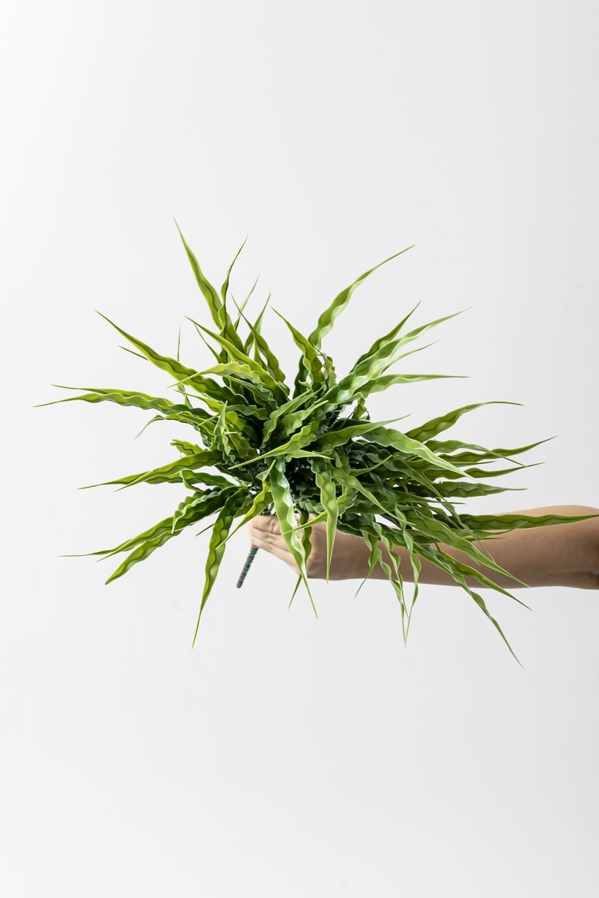 Dikey Dekor - yapay buyuk saz demeti acik yesil 60 cm 10 dal 4121 Toptan Yapay Büyük Saz Demeti Açık Yeşil 60 Cm 10 Dal - Görsel 4