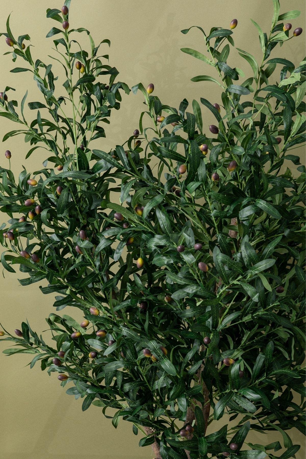 Dikey Dekor - yapay buyuk zeytin agaci 200 cm 30 dal 7462 Toptan Yapay Büyük Zeytin Ağacı 200 cm 45 Dal - Görsel 4