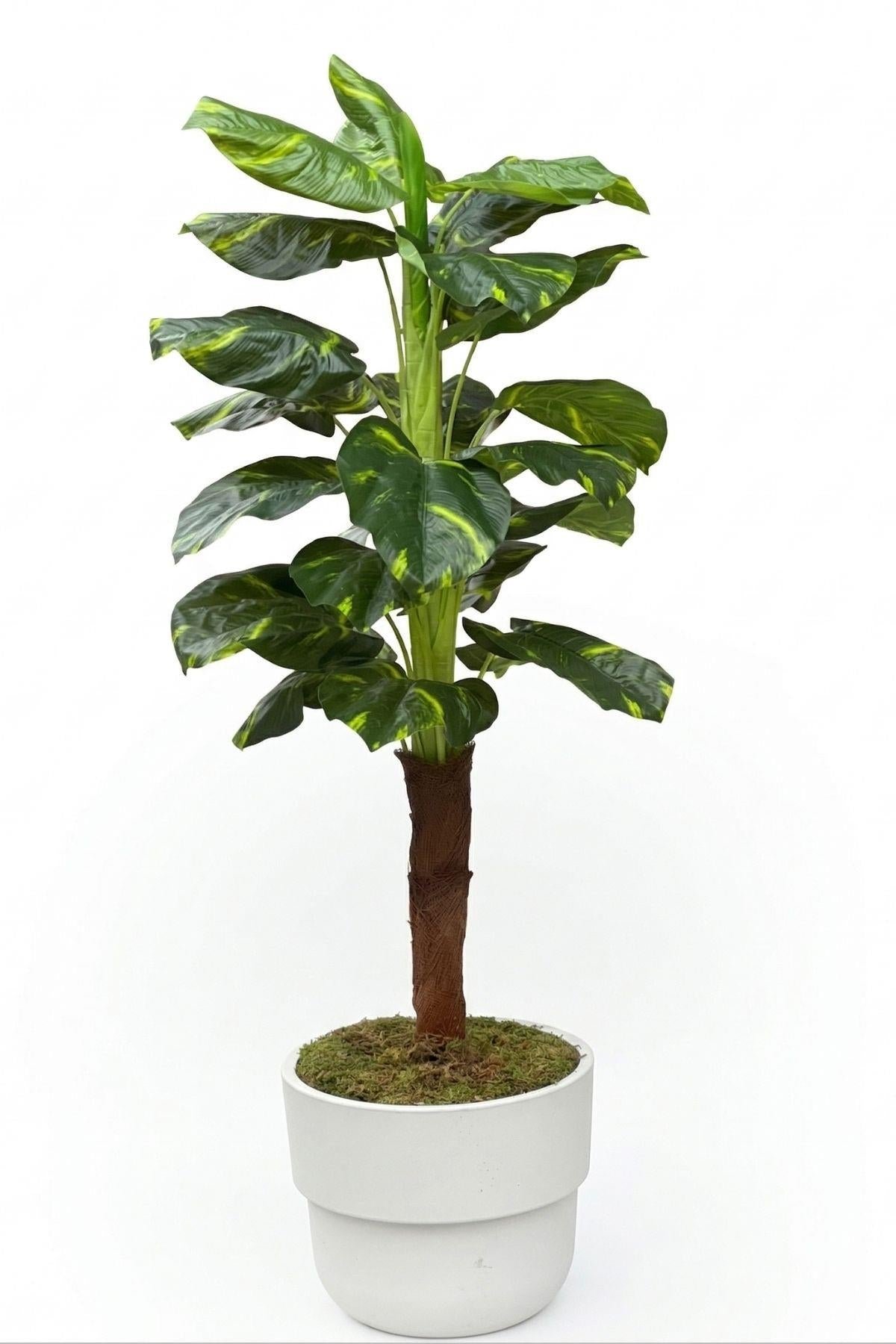 Dikey Dekor - yapay difenbahya agaci 150 cm 23 yaprak 8642 Toptan Yapay Difenbahya Ağacı 150 cm 23 Yaprak - Görsel 2
