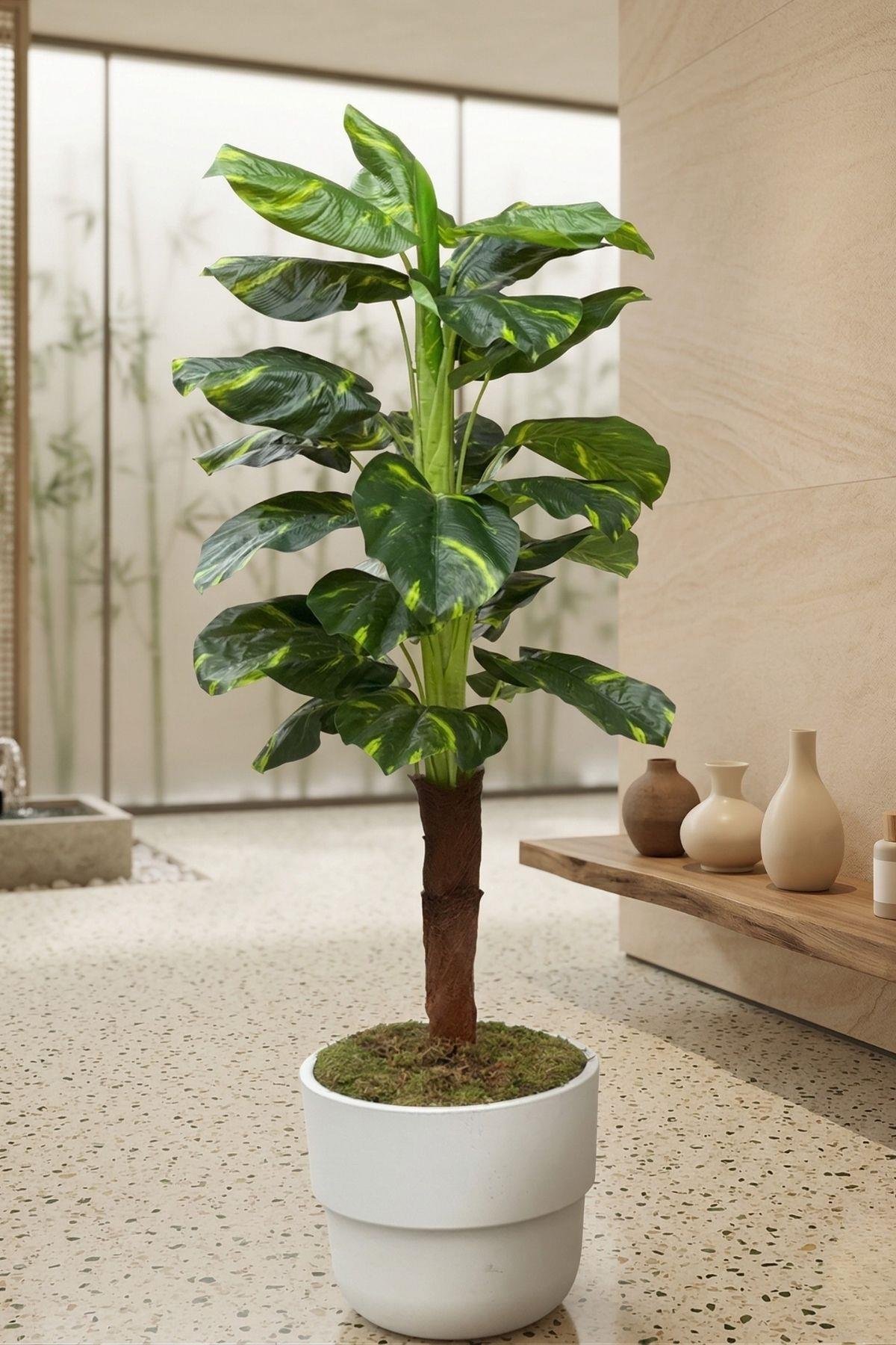 Dikey Dekor - yapay difenbahya agaci 150 cm 23 yaprak 8643 Toptan Yapay Difenbahya Ağacı 150 cm 23 Yaprak - Görsel 3