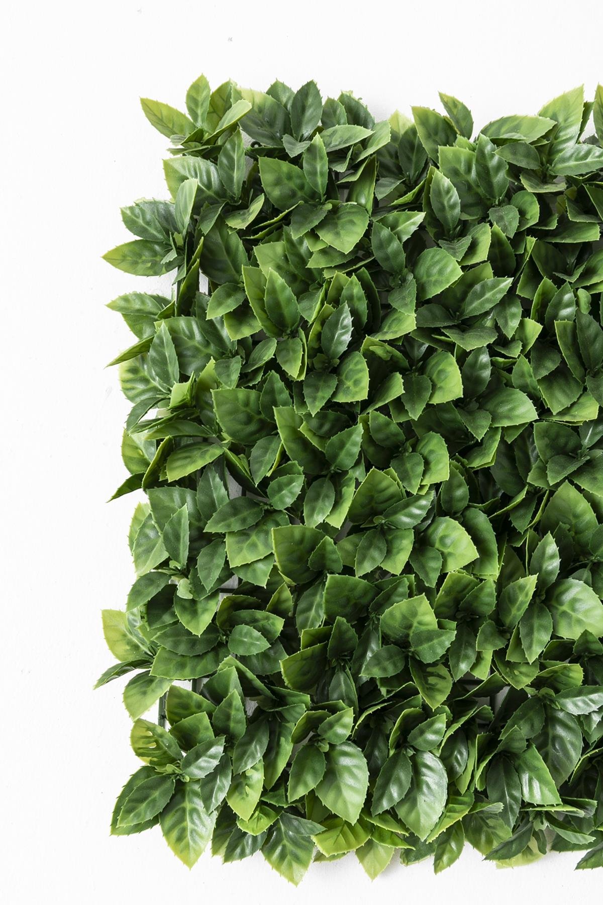 Dikey Dekor - yapay duvar paneli uv korumali portakal yapragi acik yesil 50 50 3692 Toptan Yapay Duvar Paneli (Uv) Korumalı Portakal Yaprağı Açık Yeşil 50*50 (Uv) - Görsel 3