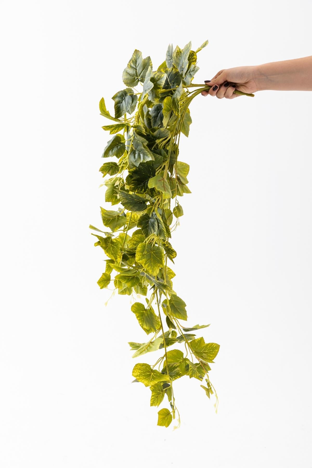 Dikey Dekor - yapay hedera sarmasik 100 cm 8 dall 6809 Toptan Yapay Hedera Sarmaşık 100 Cm 9 Dal-Yeşil / STANDART - Görsel 3