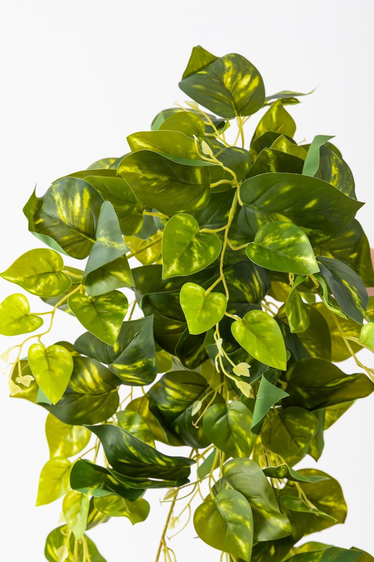 Dikey Dekor - yapay hedera sarmasik 100 cm 9 dal alacali yesil 7067 Toptan Yapay Hedera Sarmaşık 100 Cm 9 Dal Alacalı Yeşil - Görsel 3