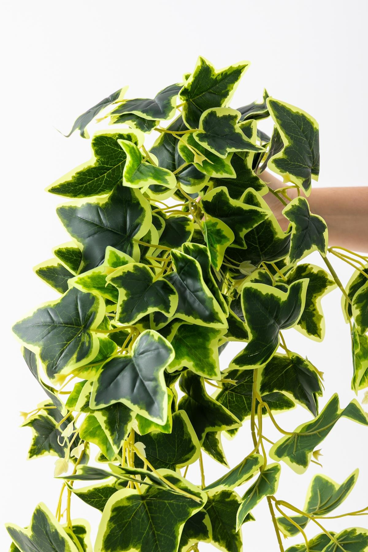 Dikey Dekor - yapay hedera sarmasik 100 cm 9 dal yesil sari 7064 Toptan Yapay Hedera Sarmaşık 100 Cm 9 Dal Yeşil Sarı - Görsel 3