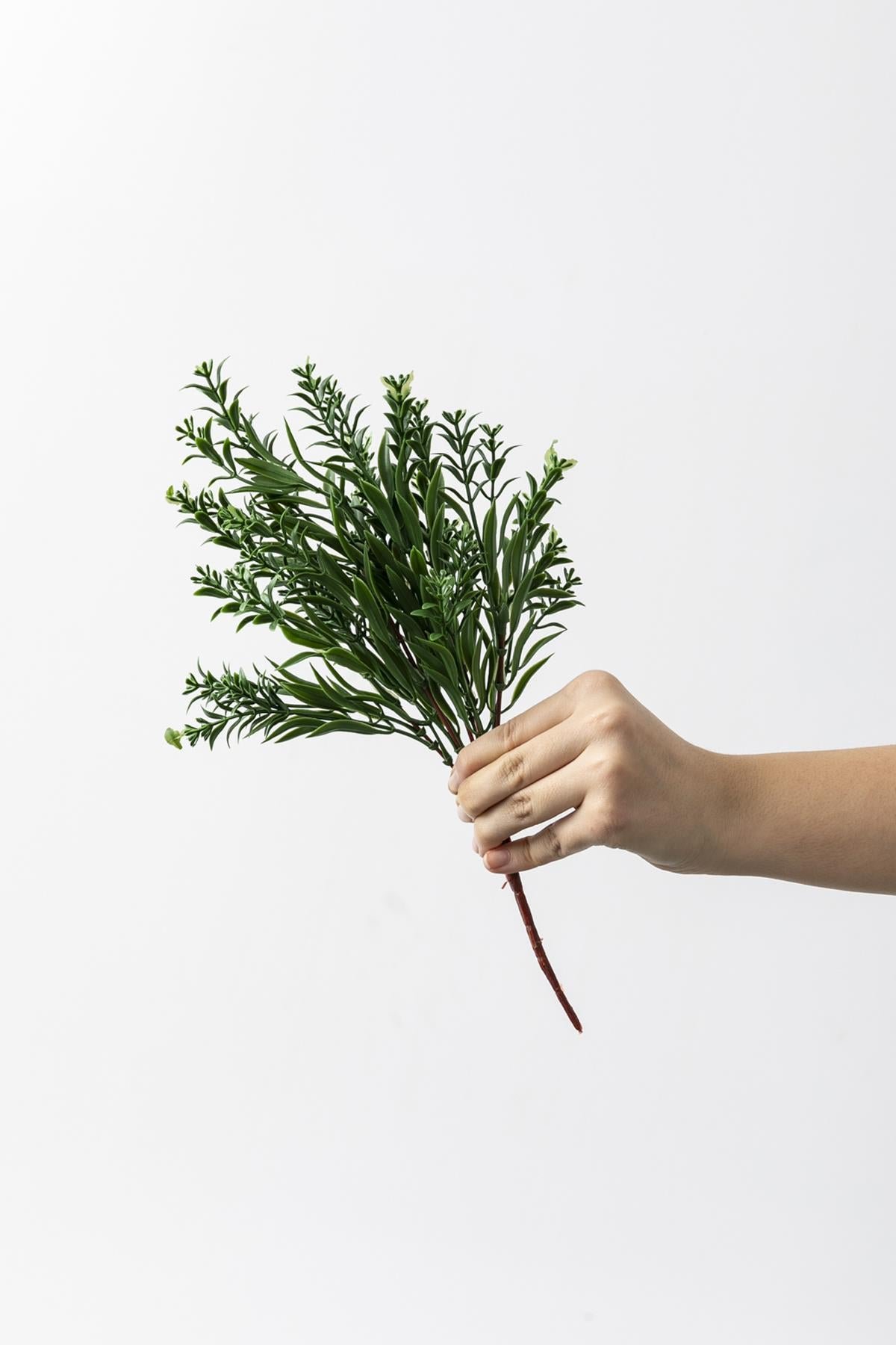 Dikey Dekor - yapay ihlamur demeti koyu yesil 35 cm 5 dal uv 4135 Toptan Yapay Ihlamur Demeti Koyu Yeşil 35 Cm 5 Dal (Uv) - Görsel 4