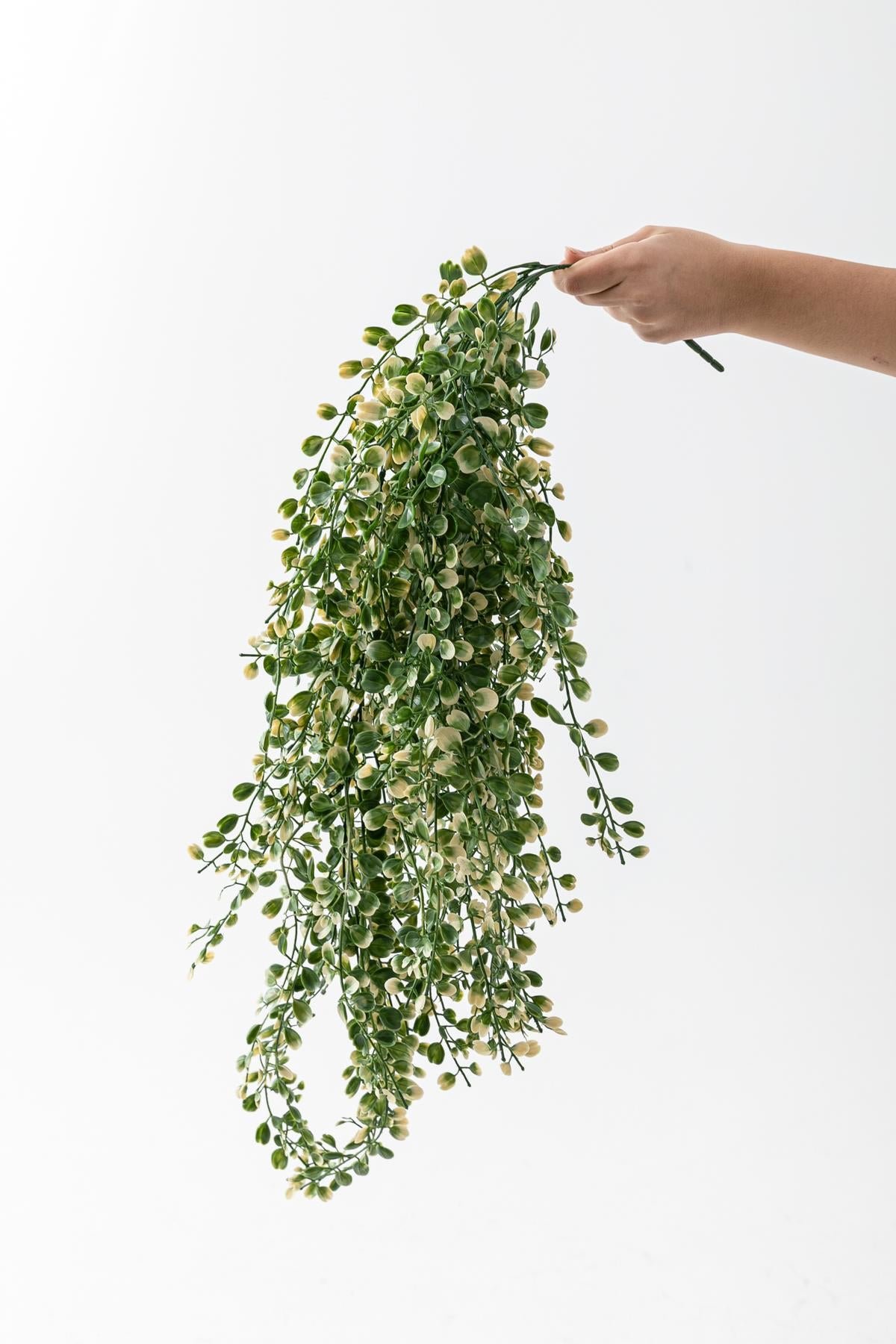 Dikey Dekor - yapay japon simsir sarkan 80 cm 5 dal yesil 7882 Toptan Yapay Japon Şimşir Sarkan 80 Cm 5 Dal Yeşil - Görsel 2