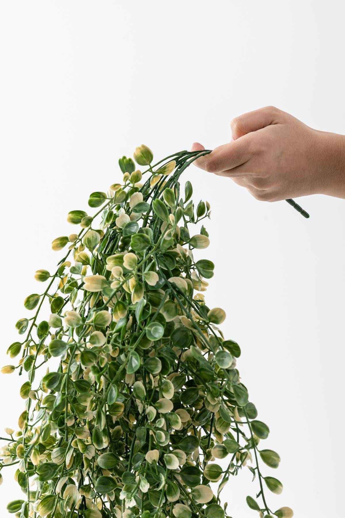 Dikey Dekor - yapay japon simsir sarkan 80 cm 5 dal yesil 7883 Toptan Yapay Japon Şimşir Sarkan 80 Cm 5 Dal Yeşil - Görsel 3