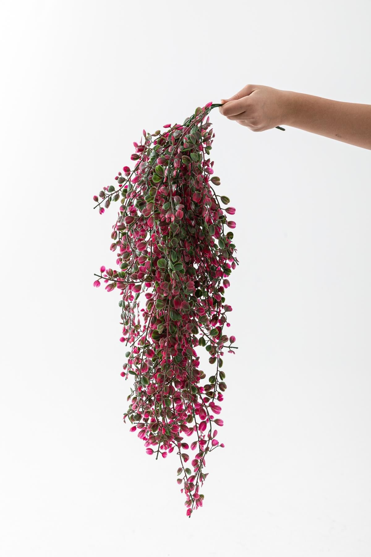 Dikey Dekor - yapay japon simsir sarkan 80 cm 5 dal yesil kirmizi 7892 Toptan Yapay Japon Şimşir Sarkan 80 Cm 5 Dal Yeşil Kırmızı - Görsel 2