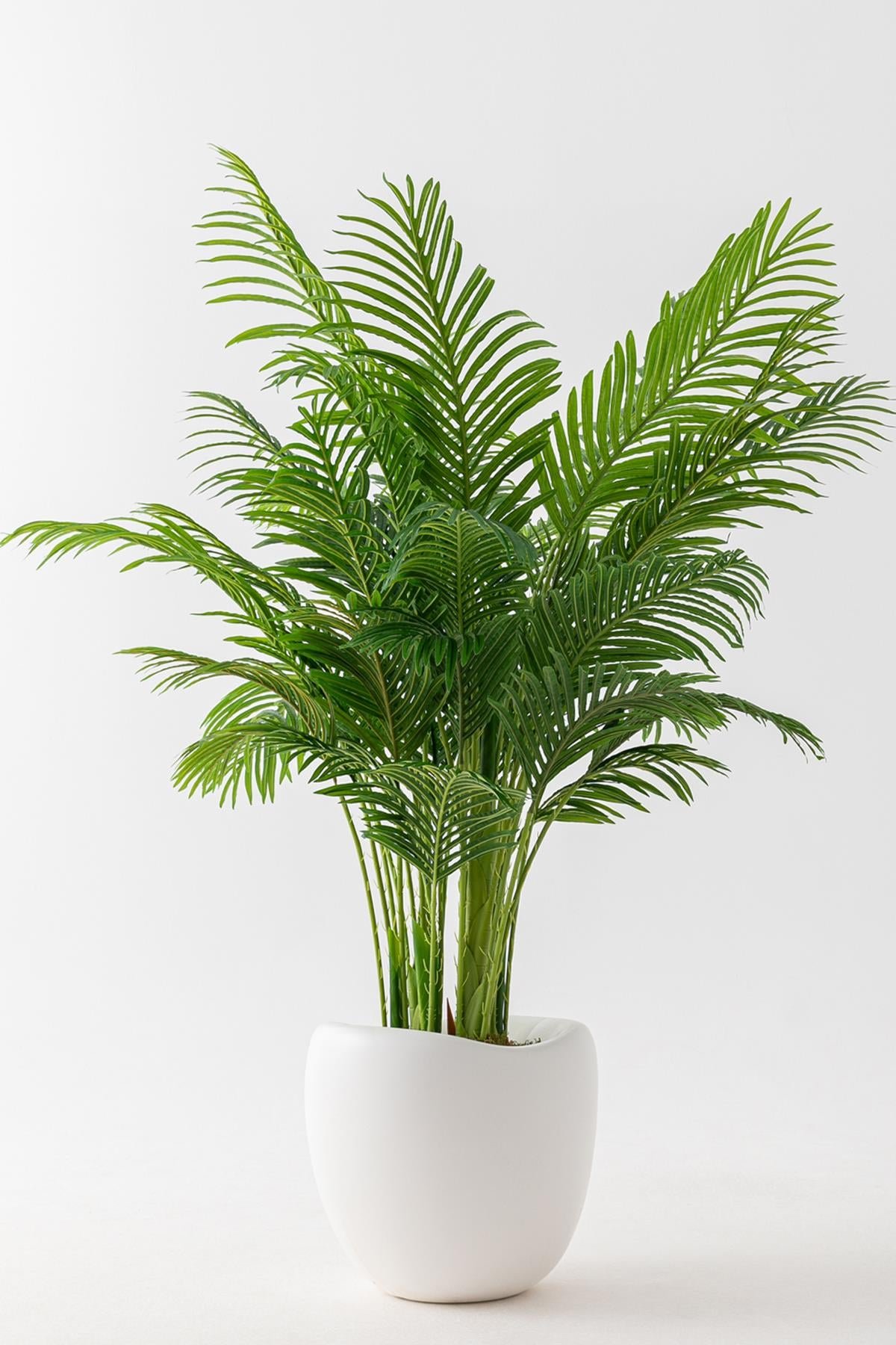 Dikey Dekor - yapay jumbo areka 220 cm 32 dal 7779 Toptan Yapay Jumbo Areka 220 Cm 32 Dal - Görsel 3