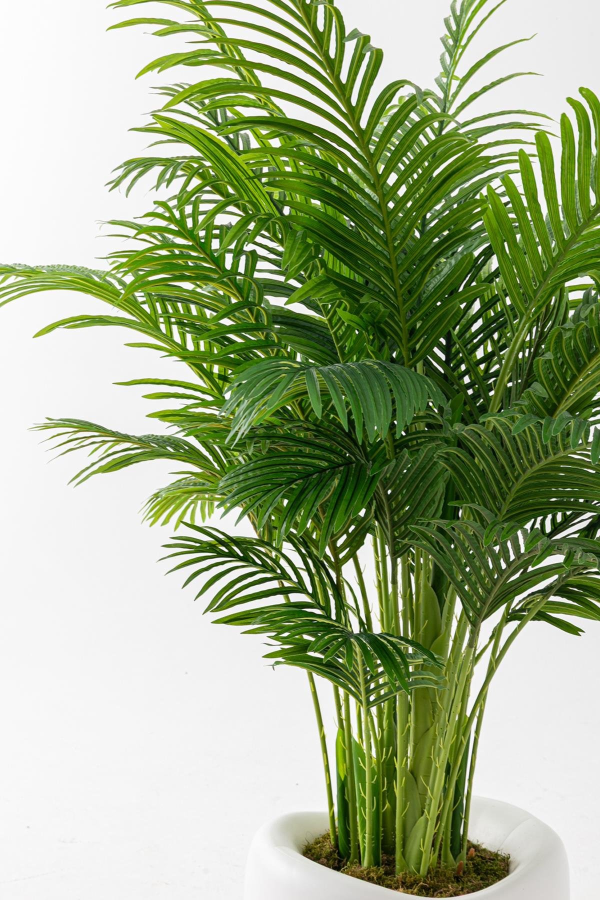 Dikey Dekor - yapay jumbo areka 220 cm 32 dal 7780 Toptan Yapay Jumbo Areka 220 Cm 32 Dal - Görsel 2