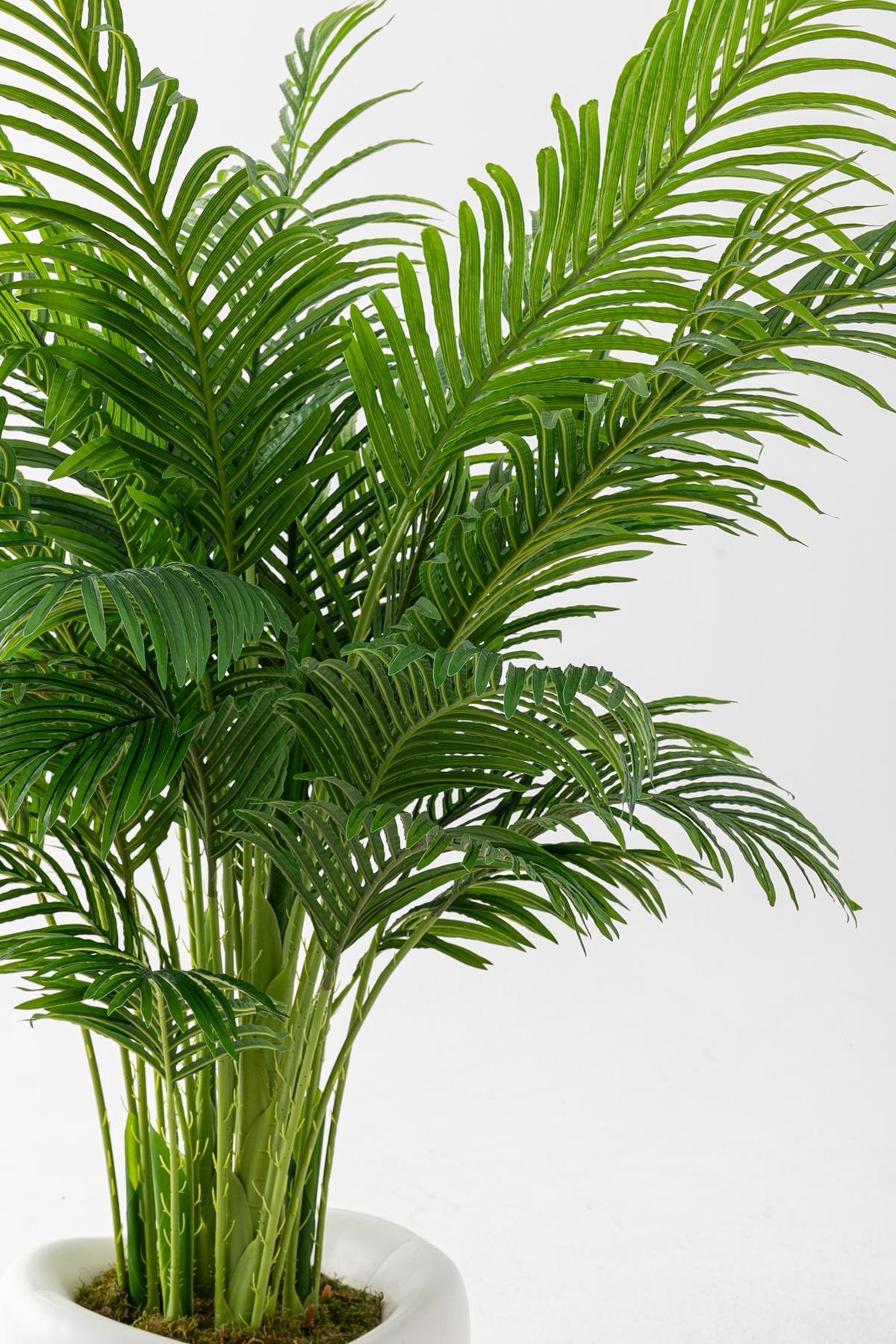 Dikey Dekor - yapay jumbo areka 220 cm 32 dal 7781 Toptan Yapay Jumbo Areka 220 Cm 32 Dal - Görsel 4