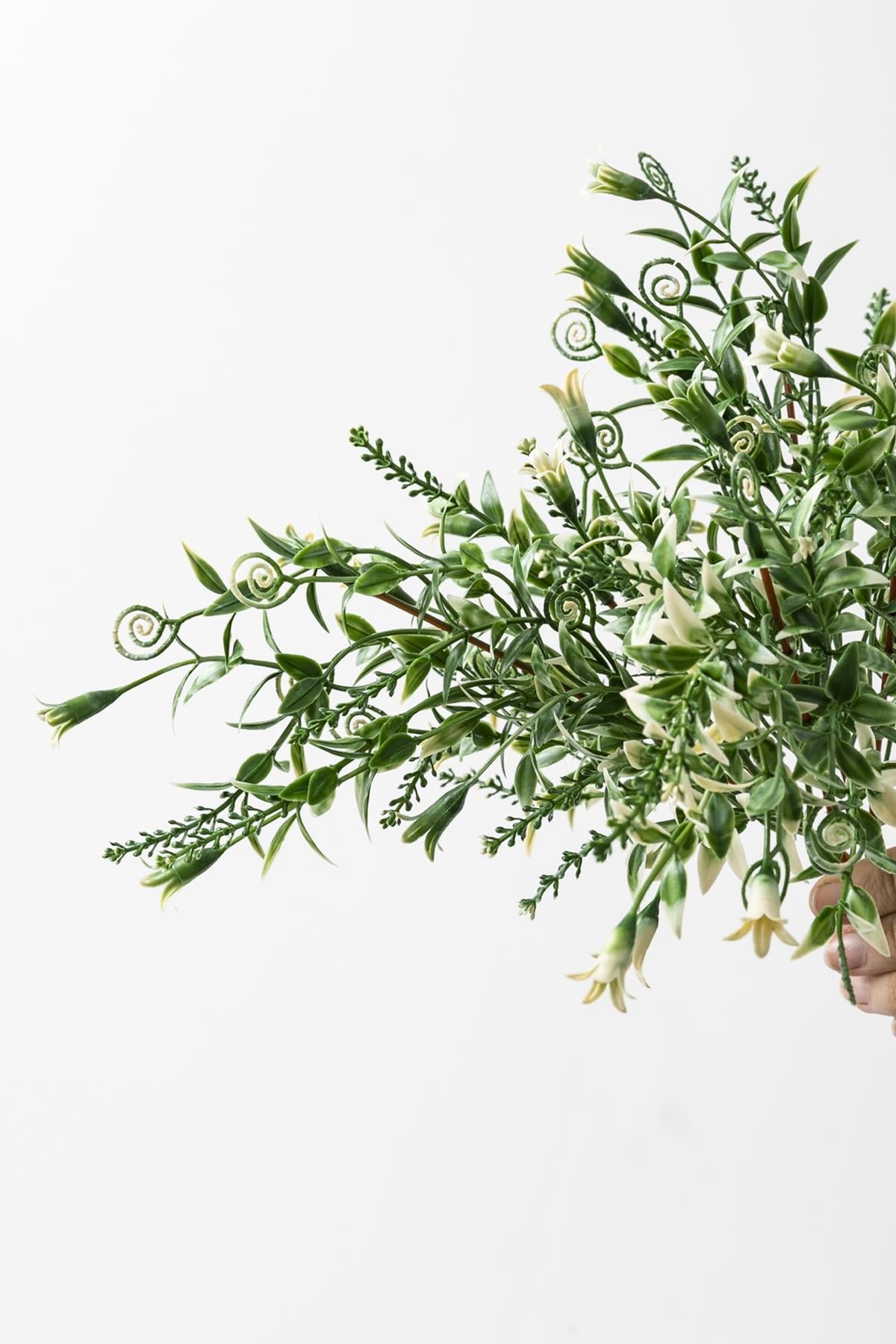 Dikey Dekor - yapay kabak cicegi demeti yesil beyaz 30 cm 5 dal 3941 Toptan Yapay Kabak Çiçeği Demeti Yeşil Beyaz 30 Cm 5 Dal - Görsel 4