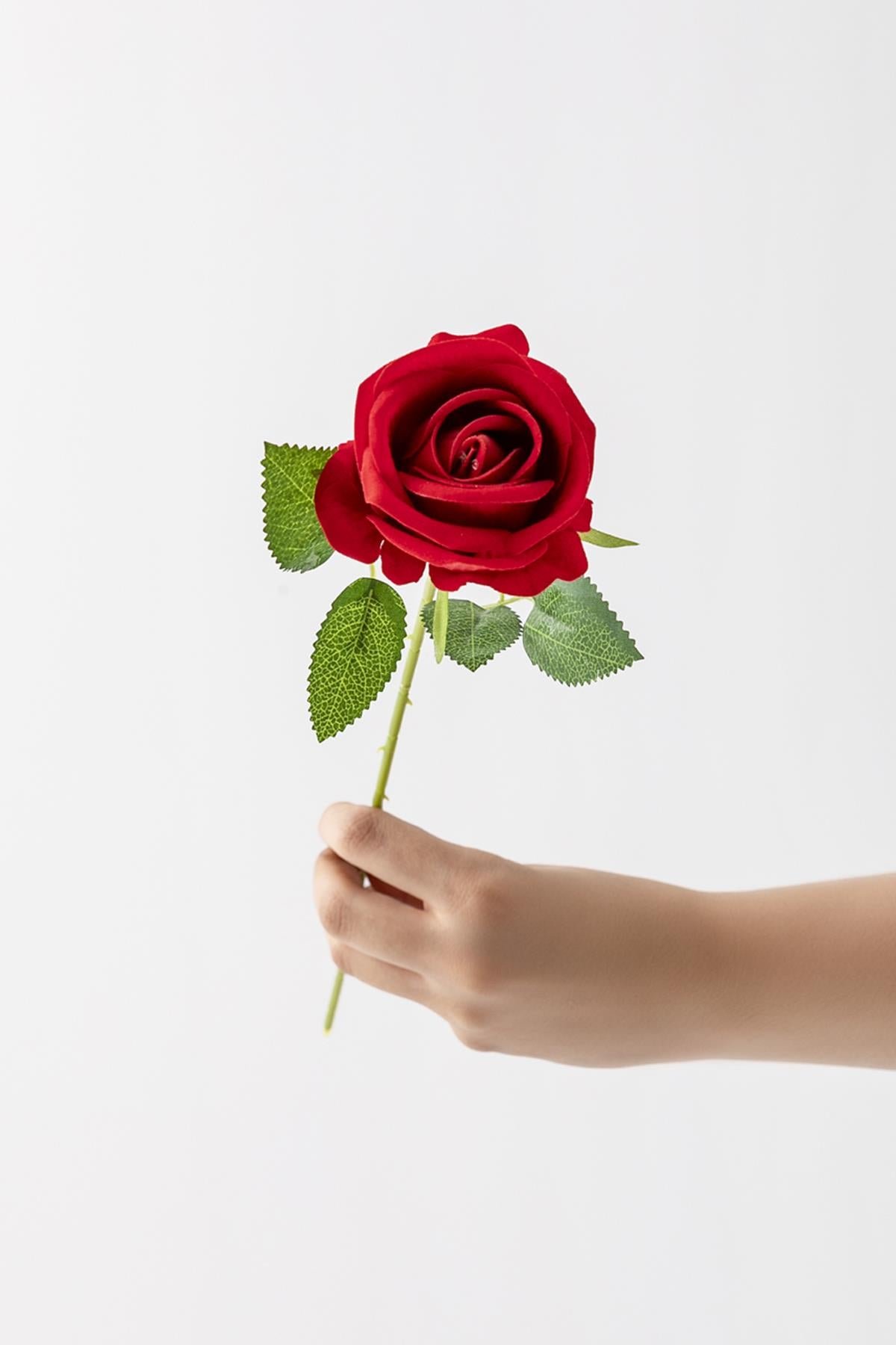 Dikey Dekor - yapay kadife gul tek dal kirmizi 50 cm 5755 Toptan Yapay Kadife Gül Tek Dal Kırmızı 50 Cm - Görsel 3