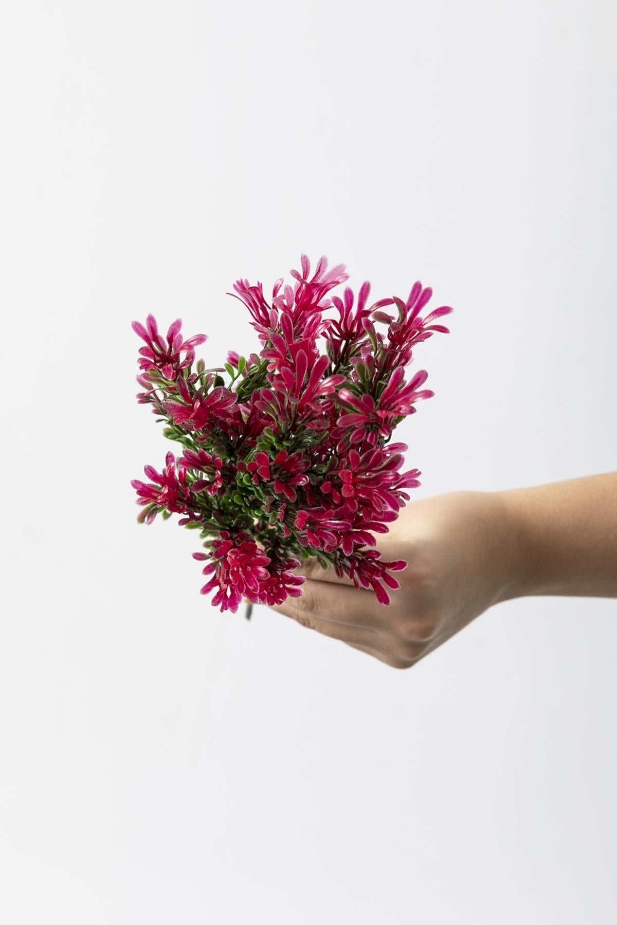 Dikey Dekor - yapay latus demeti yesil pembe 35 cm 5 dal uv 4051 Toptan Yapay Latus Demeti Yeşil Pembe 35 Cm 5 Dal (Uv) - Görsel 4