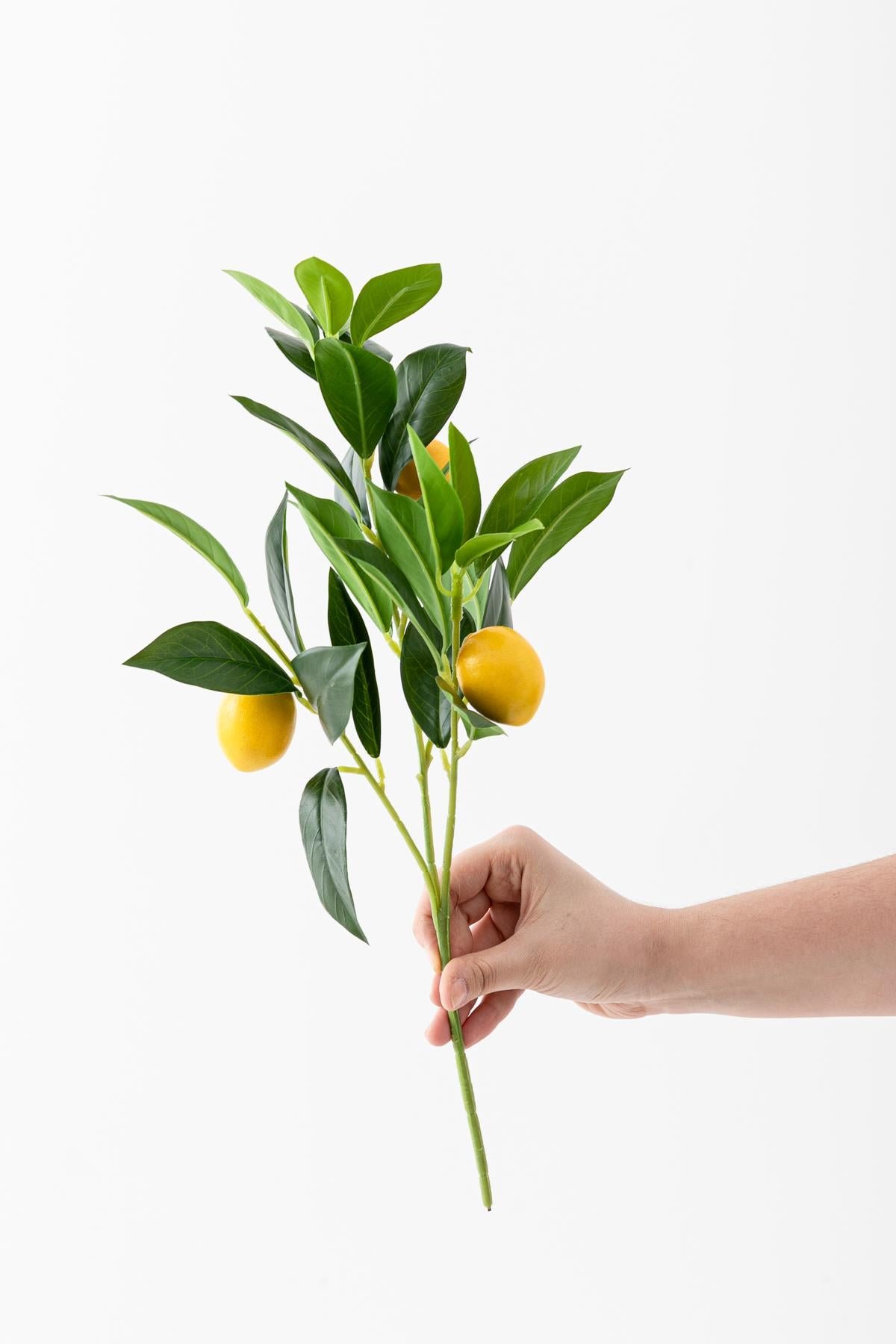 Dikey Dekor - yapay limon dali lux 3 dal 27 yaprak 50 cm 8352 Toptan Yapay Limon Dalı Lux 3 Dal 27 Yaprak 50 Cm - Görsel 2
