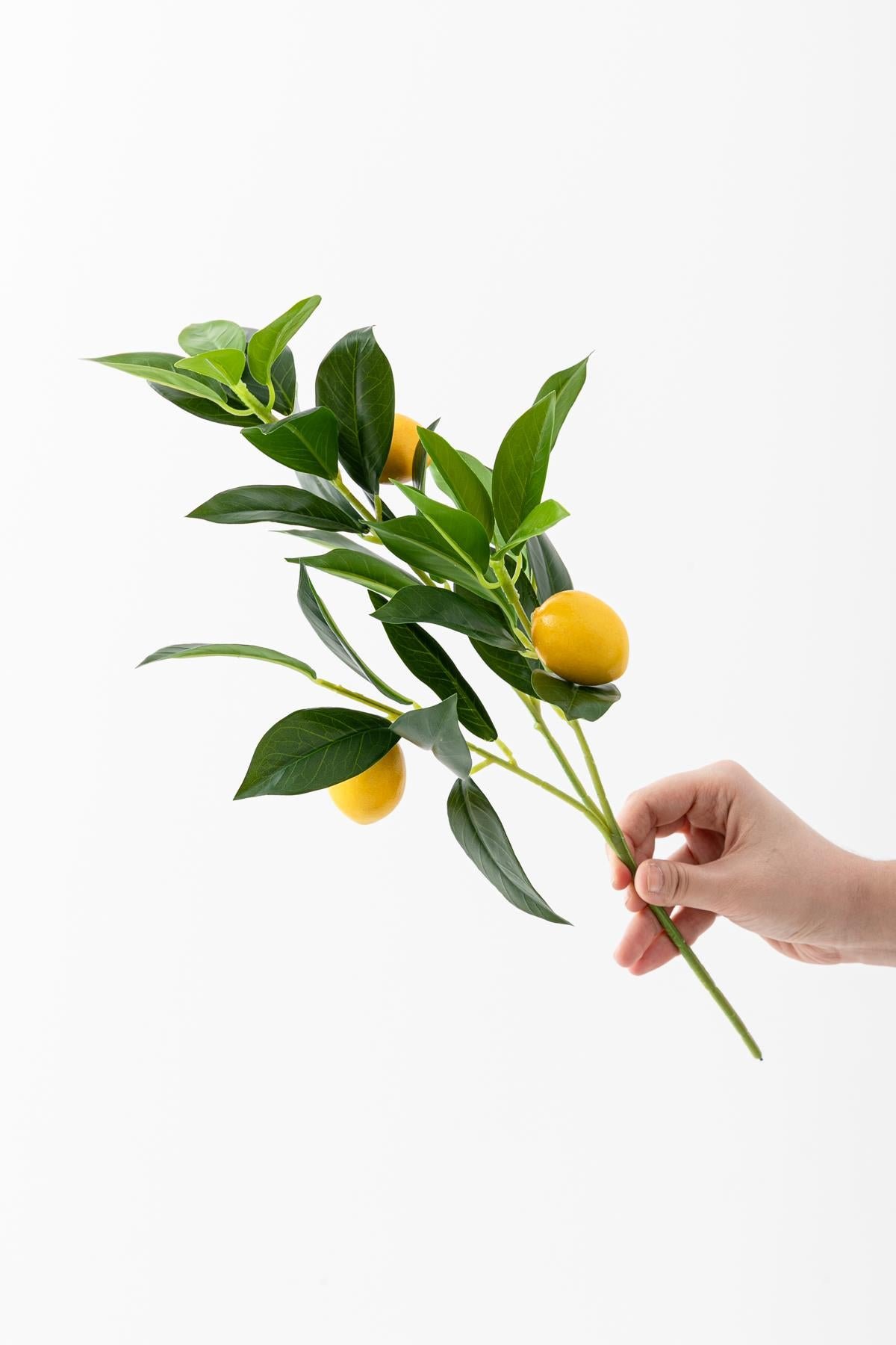 Dikey Dekor - yapay limon dali lux 3 dal 27 yaprak 50 cm 8353 Toptan Yapay Limon Dalı Lux 3 Dal 27 Yaprak 50 Cm - Görsel 3