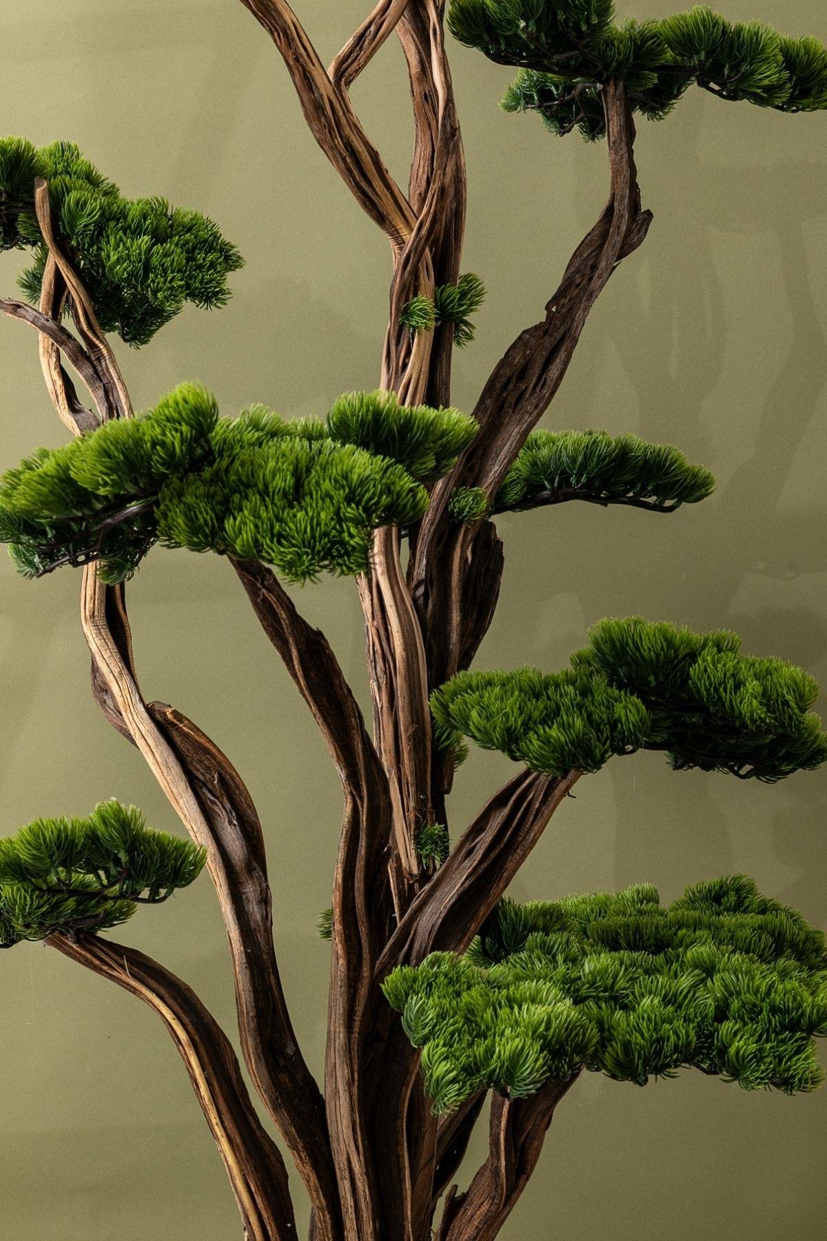 Dikey Dekor - yapay lux bonsai agaci 200 cm 40 dal 7454 Toptan Yapay Lüx Bonsai Ağacı 200 cm 40 Dal - Görsel 2