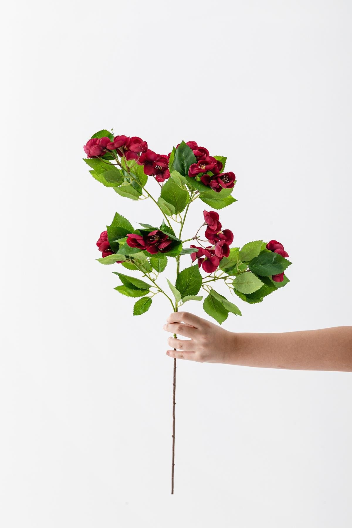 Dikey Dekor - yapay lux menekse dali bordo 80 cm 5 yaprak 7811 Toptan Yapay Lux Menekşe Dalı Bordo 80 cm 5 Yaprak - Görsel 3