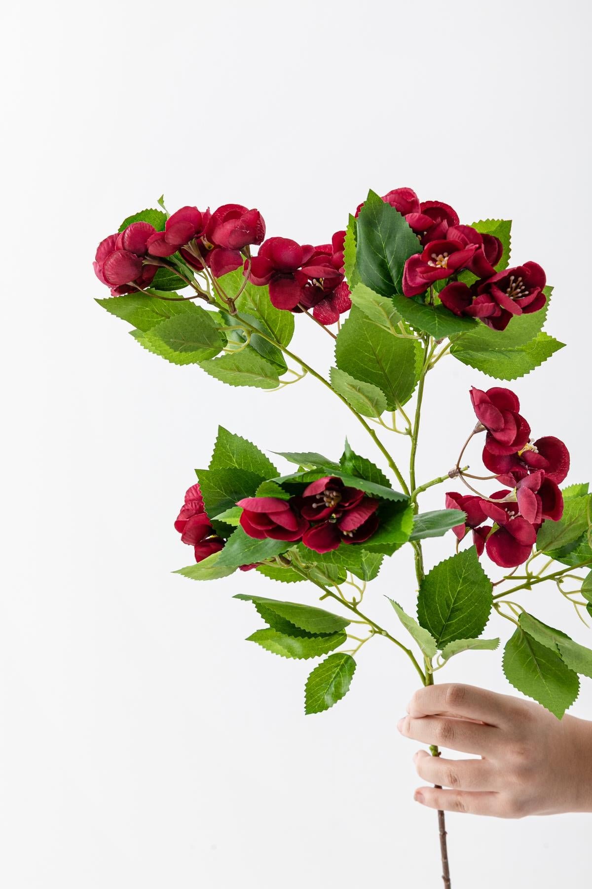 Dikey Dekor - yapay lux menekse dali bordo 80 cm 5 yaprak 7812 Toptan Yapay Lux Menekşe Dalı Bordo 80 cm 5 Yaprak - Görsel 4