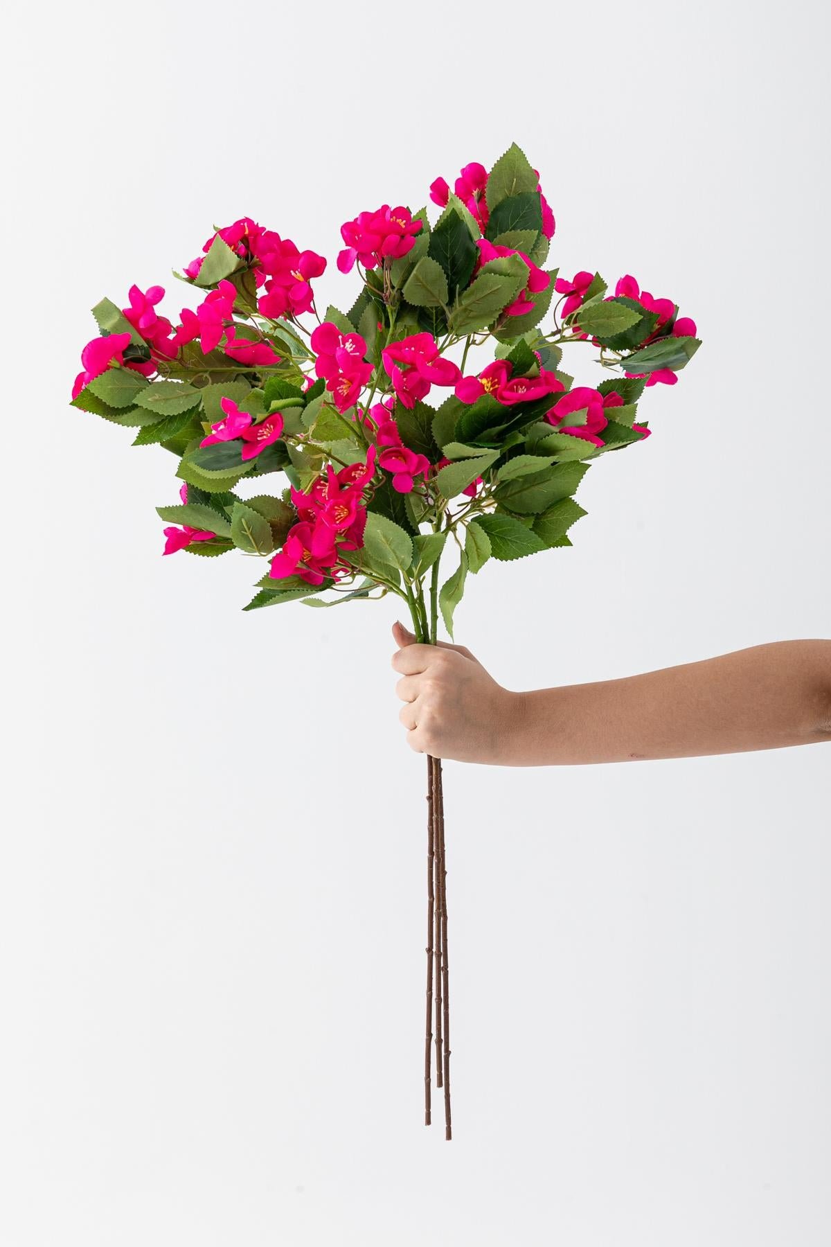Dikey Dekor - yapay lux menekse dali fusya 80 cm 5 yaprak 7819 Toptan Yapay Lux Menekşe Dalı Fuşya 80 cm 5 Yaprak - Görsel 4