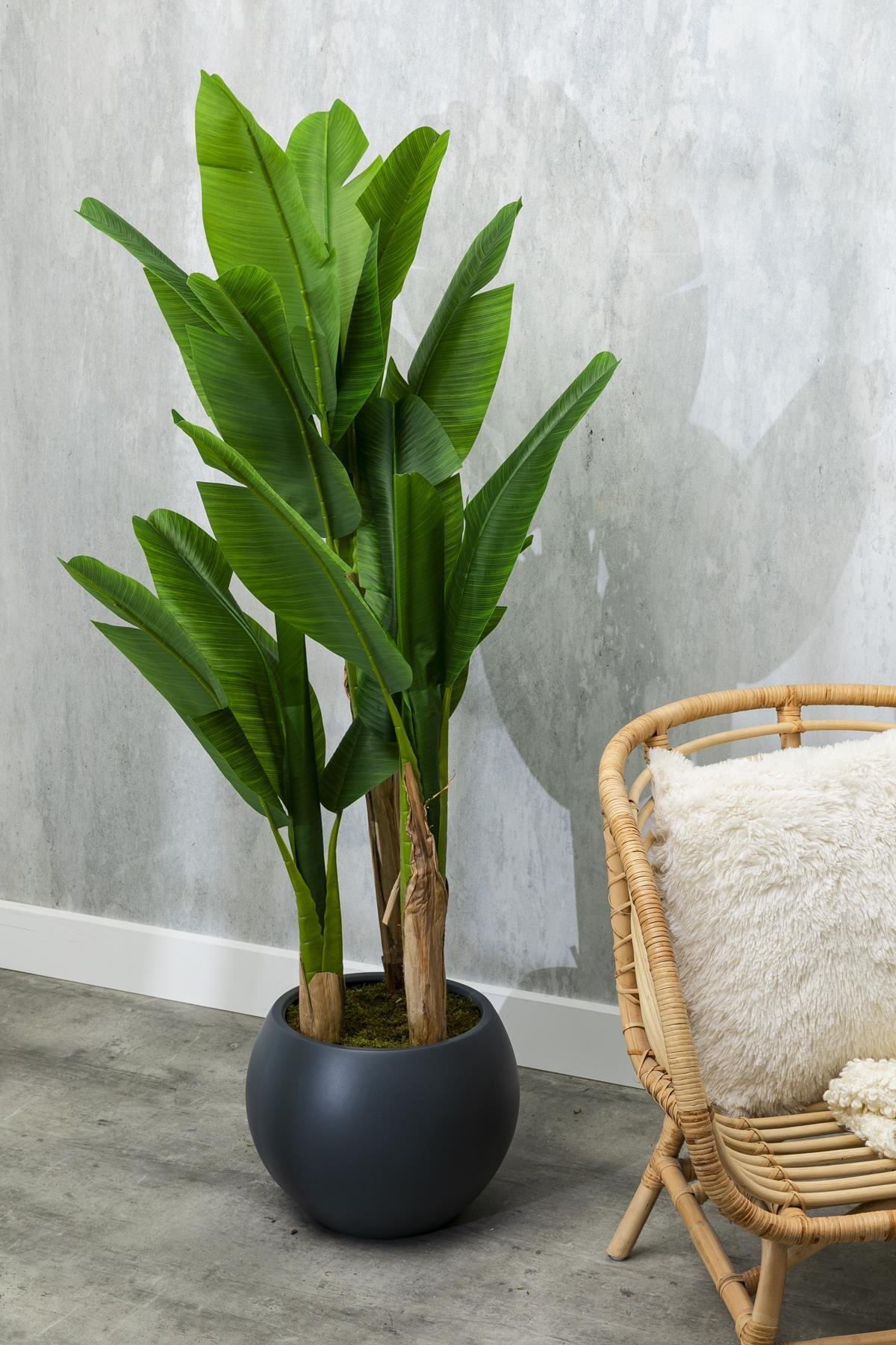 Dikey Dekor - yapay muz agaci 160 cm kure plastik saksi 4997 Toptan Yapay Muz Ağacı 160 Cm Küre Plastik Saksı - Görsel 2