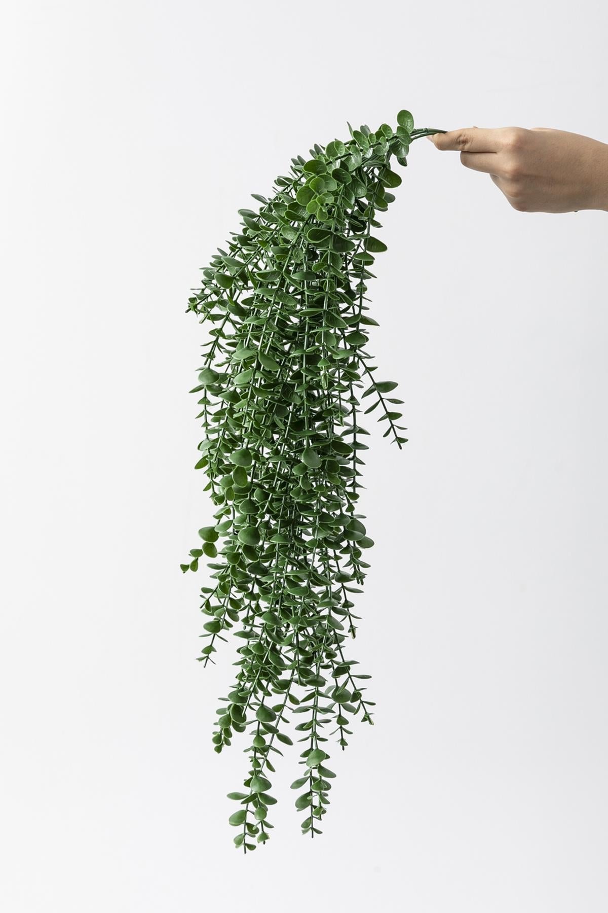 Dikey Dekor - yapay okaliptus sarmasik uv korumali koyu yesil 90 cm 5 dal 3861 Toptan Yapay Okaliptus Sarmaşık (Uv) Korumalı Koyu Yeşil 90 Cm 5 Dal (Uv) - Görsel 3