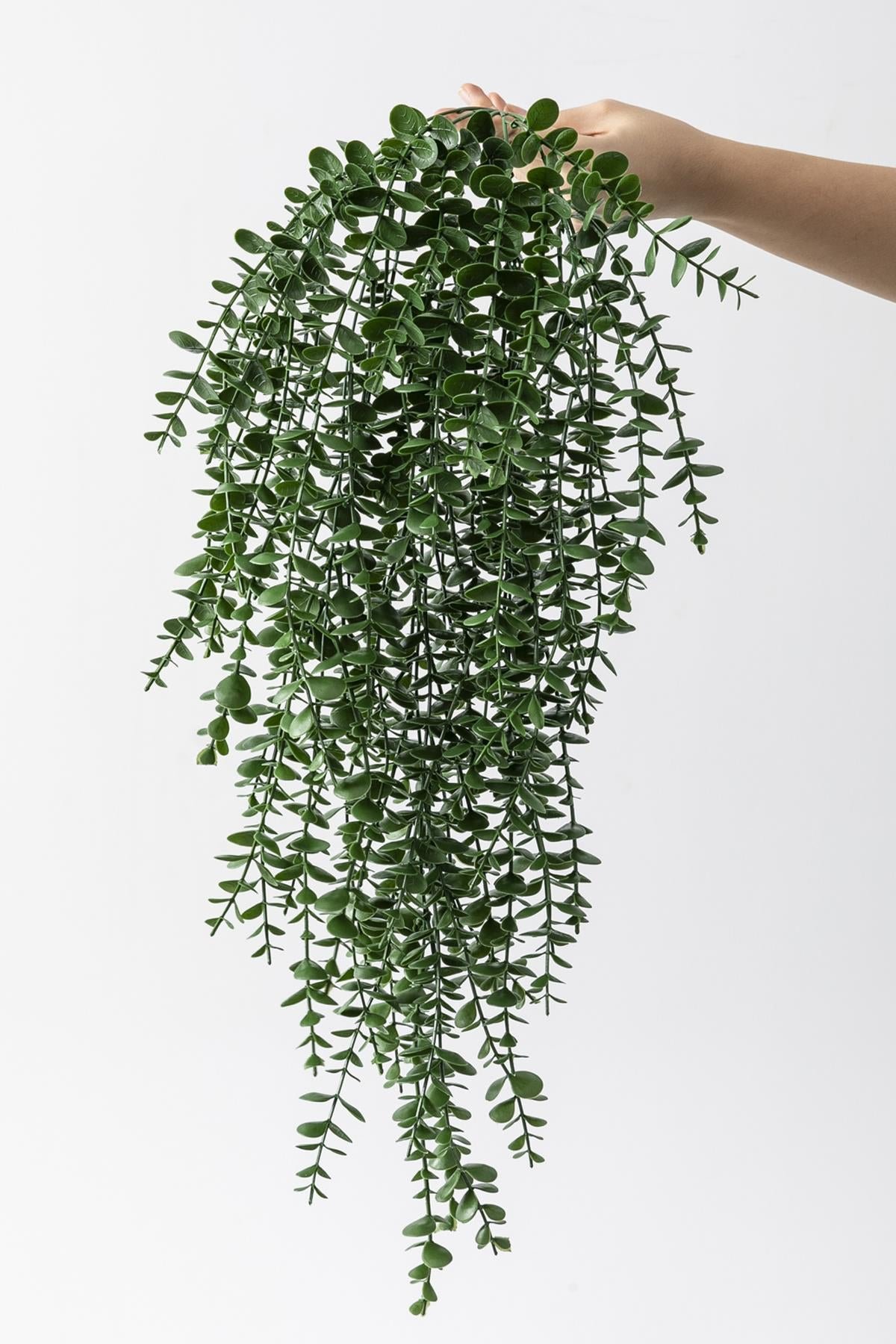 Dikey Dekor - yapay okaliptus sarmasik uv korumali koyu yesil 90 cm 5 dal 3862 Toptan Yapay Okaliptus Sarmaşık (Uv) Korumalı Koyu Yeşil 90 Cm 5 Dal (Uv) - Görsel 4