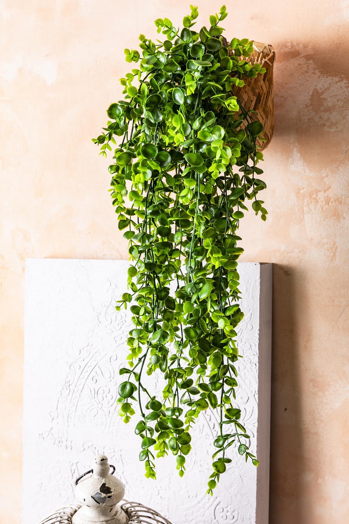 Dikey Dekor - yapay okaliptus sarmasik uv korumaliacik yesil 90 cm 5 dal 3809 Toptan Yapay Okaliptus Sarmaşık (Uv) Korumalı Açık Yeşil 70 Cm 5 Dal (Uv) - Görsel 2