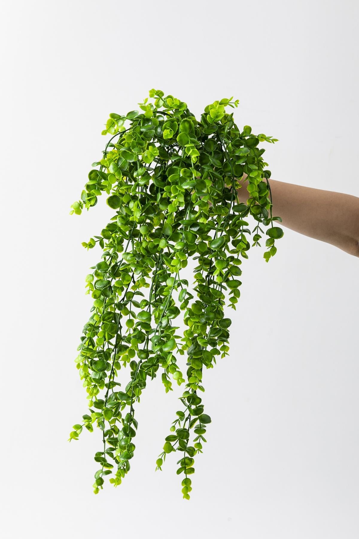 Dikey Dekor - yapay okaliptus sarmasik uv korumaliacik yesil 90 cm 5 dal 3810 Toptan Yapay Okaliptus Sarmaşık (Uv) Korumalı Açık Yeşil 70 Cm 5 Dal (Uv) - Görsel 3