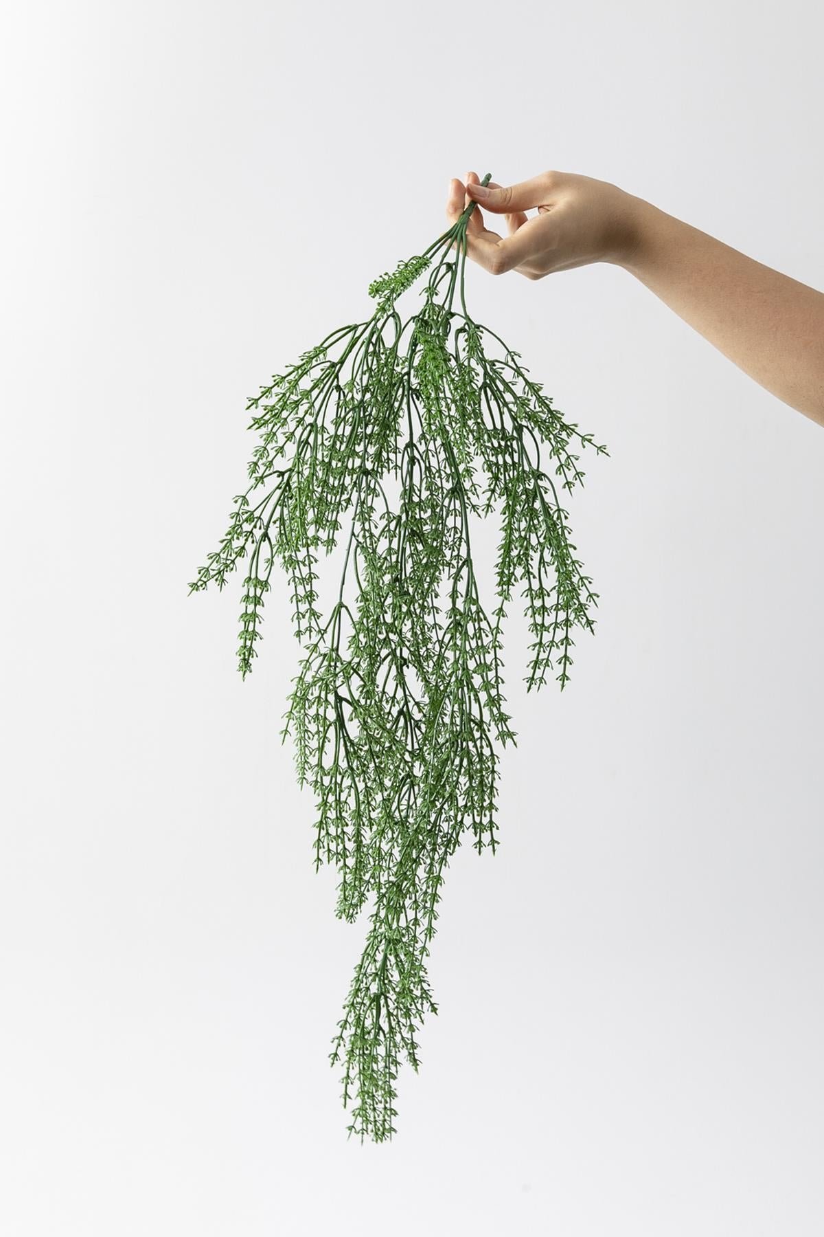 Dikey Dekor - yapay ot sarmasik koyu yesil uv korumali 80 cm 5 dal 4145 Toptan Yapay Ot Sarmaşık Koyu Yeşil (Uv) Korumalı 80 Cm 5 Dal (Uv) - Görsel 3