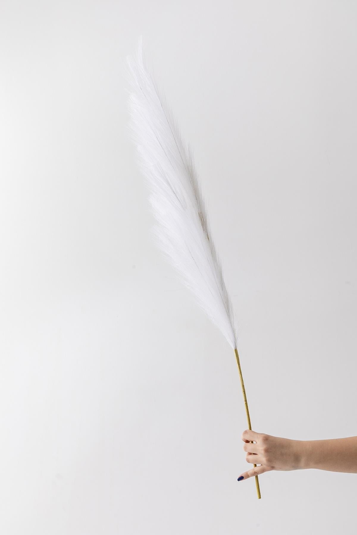 Dikey Dekor - yapay pampas cicegi 100 cm tek dal beyaz 5038 Toptan Yapay Pampas Çiçeği 100 Cm Tek Dal Beyaz - Görsel 2