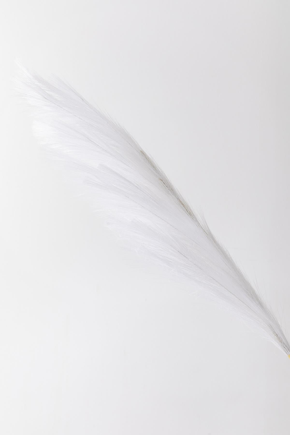 Dikey Dekor - yapay pampas cicegi 100 cm tek dal beyaz 5039 Toptan Yapay Pampas Çiçeği 100 Cm Tek Dal Beyaz - Görsel 3