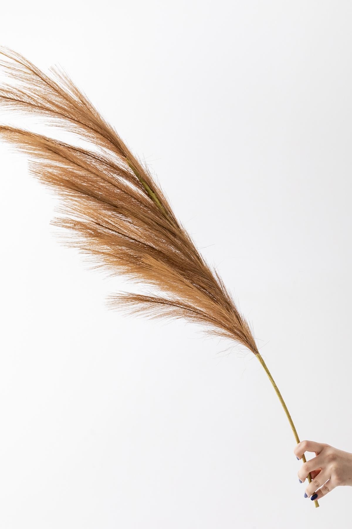 Dikey Dekor - yapay pampas cicegi 100 cm tek dal kahverengi 5047 Toptan Yapay Pampas Çiçeği 100 Cm Tek Dal Kahverengi - Görsel 2