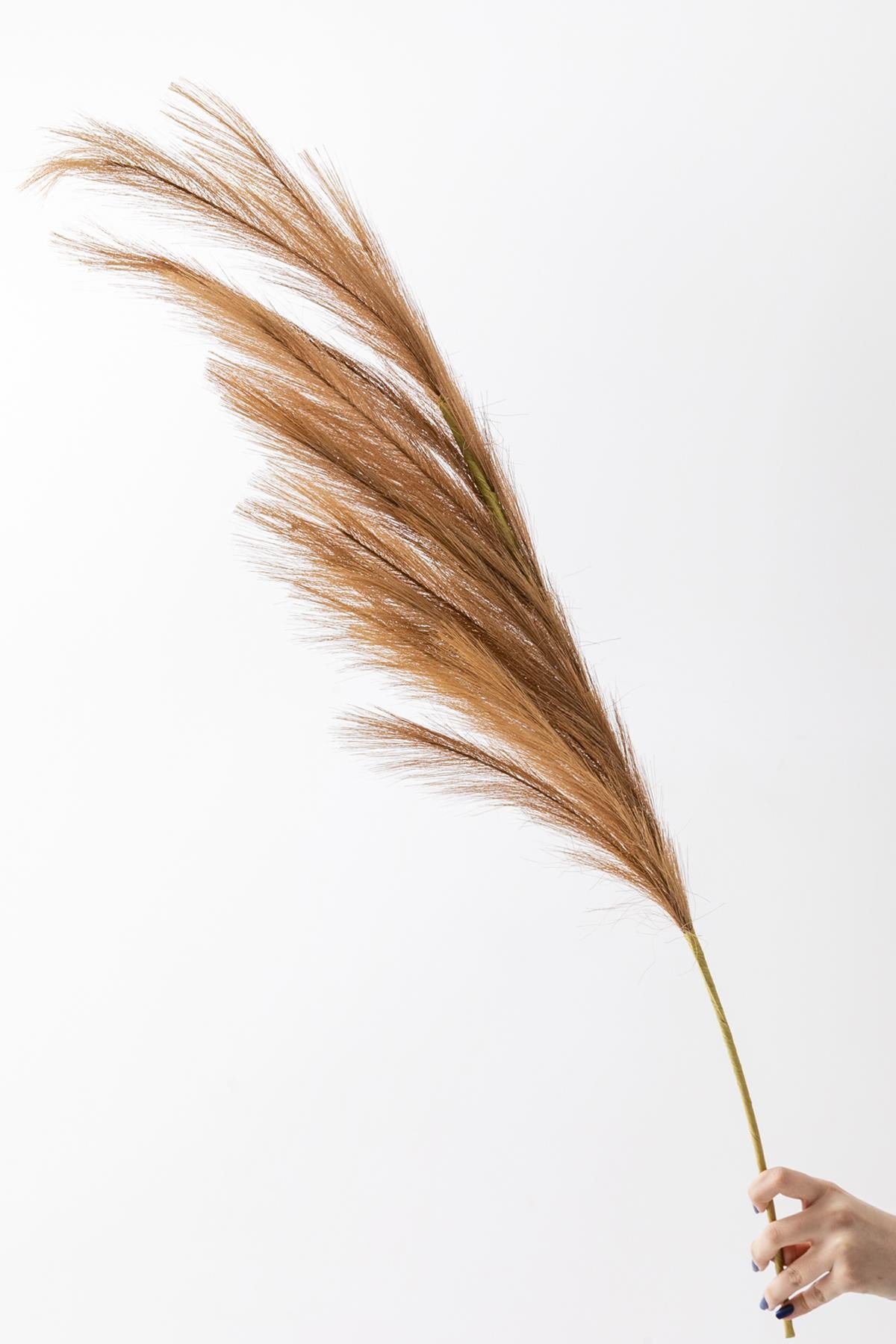 Dikey Dekor - yapay pampas cicegi 100 cm tek dal kahverengi 5048 Toptan Yapay Pampas Çiçeği 100 Cm Tek Dal Kahverengi - Görsel 3