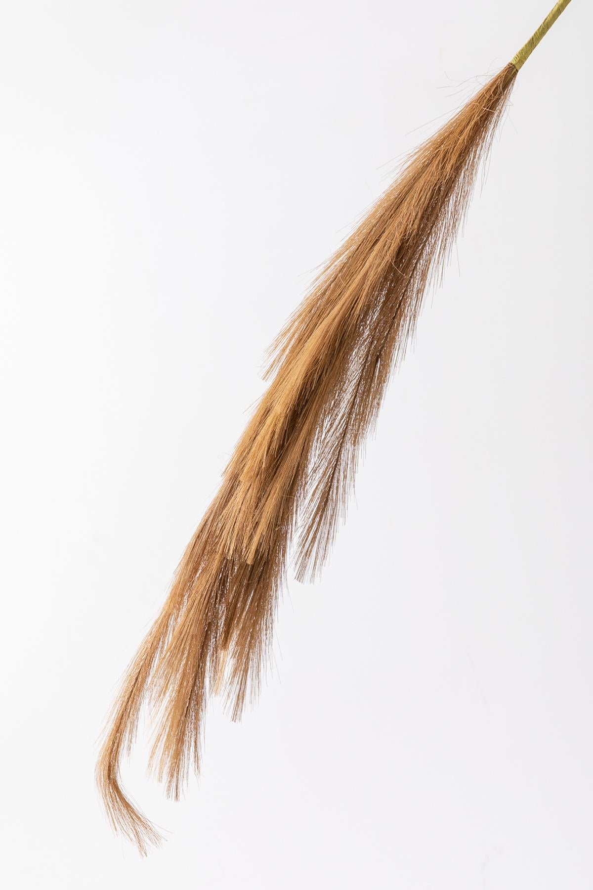 Dikey Dekor - yapay pampas cicegi 100 cm tek dal kahverengi 5049 Toptan Yapay Pampas Çiçeği 100 Cm Tek Dal Kahverengi - Görsel 4