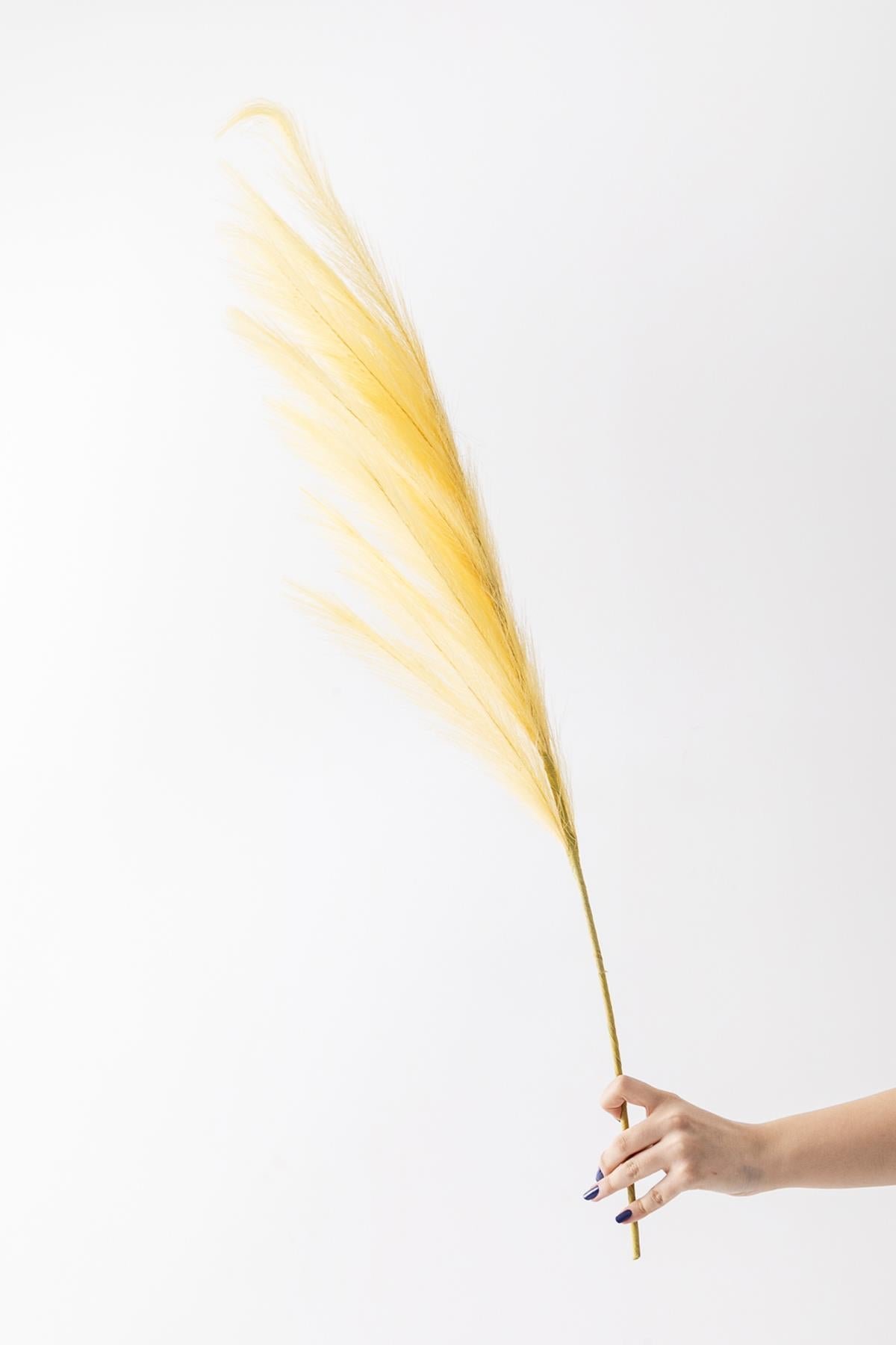 Dikey Dekor - yapay pampas cicegi 100 cm tek dal sari 5042 Toptan Yapay Pampas Çiçeği 100 Cm Tek Dal Sarı - Görsel 2
